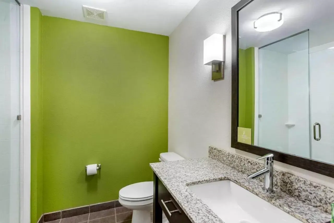 Toilet, Bathroom in Sleep Inn & Suites Gallatin - Nashville Metro