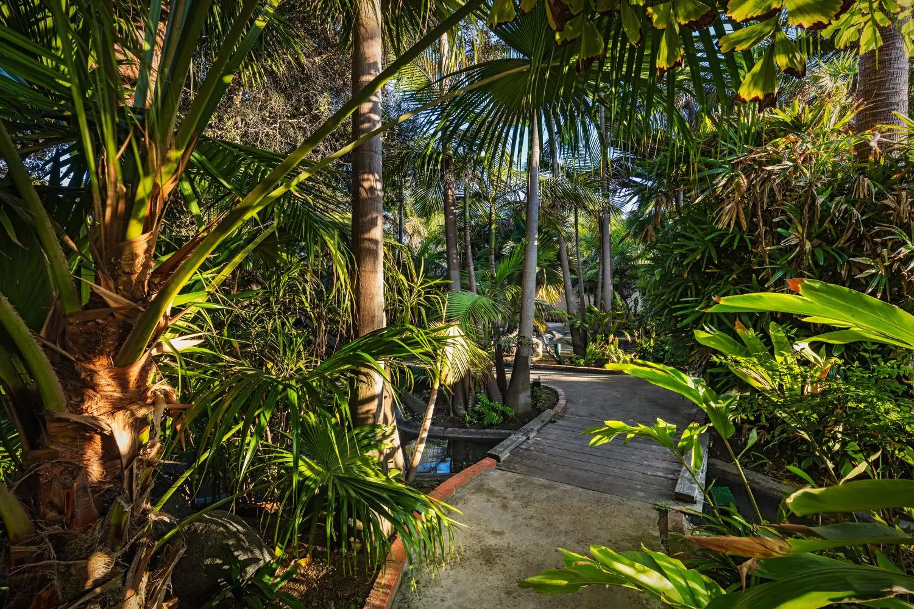 Garden in Bahia Resort Hotel