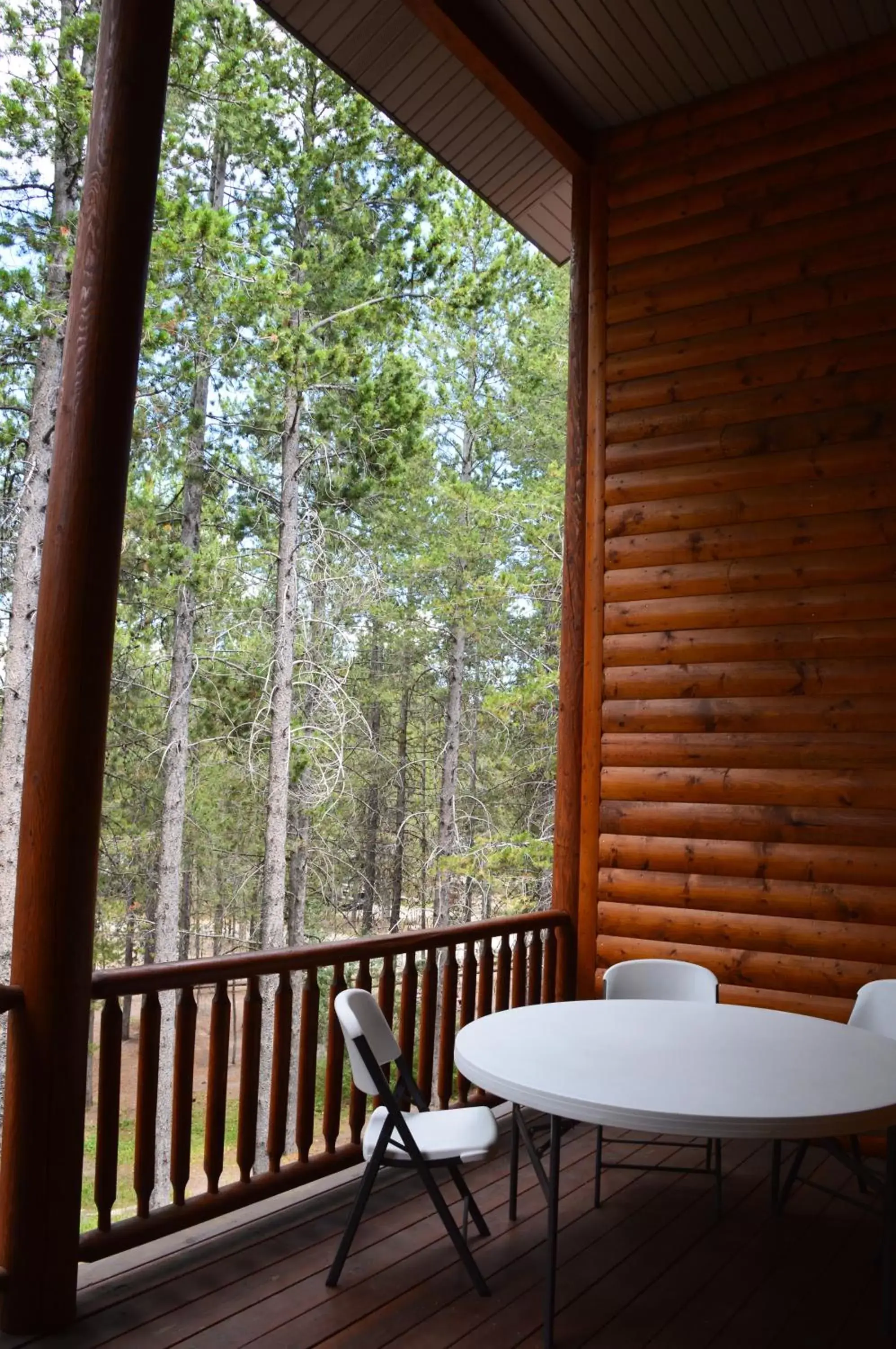 Patio, Balcony/Terrace in Sawtelle Mountain Resort