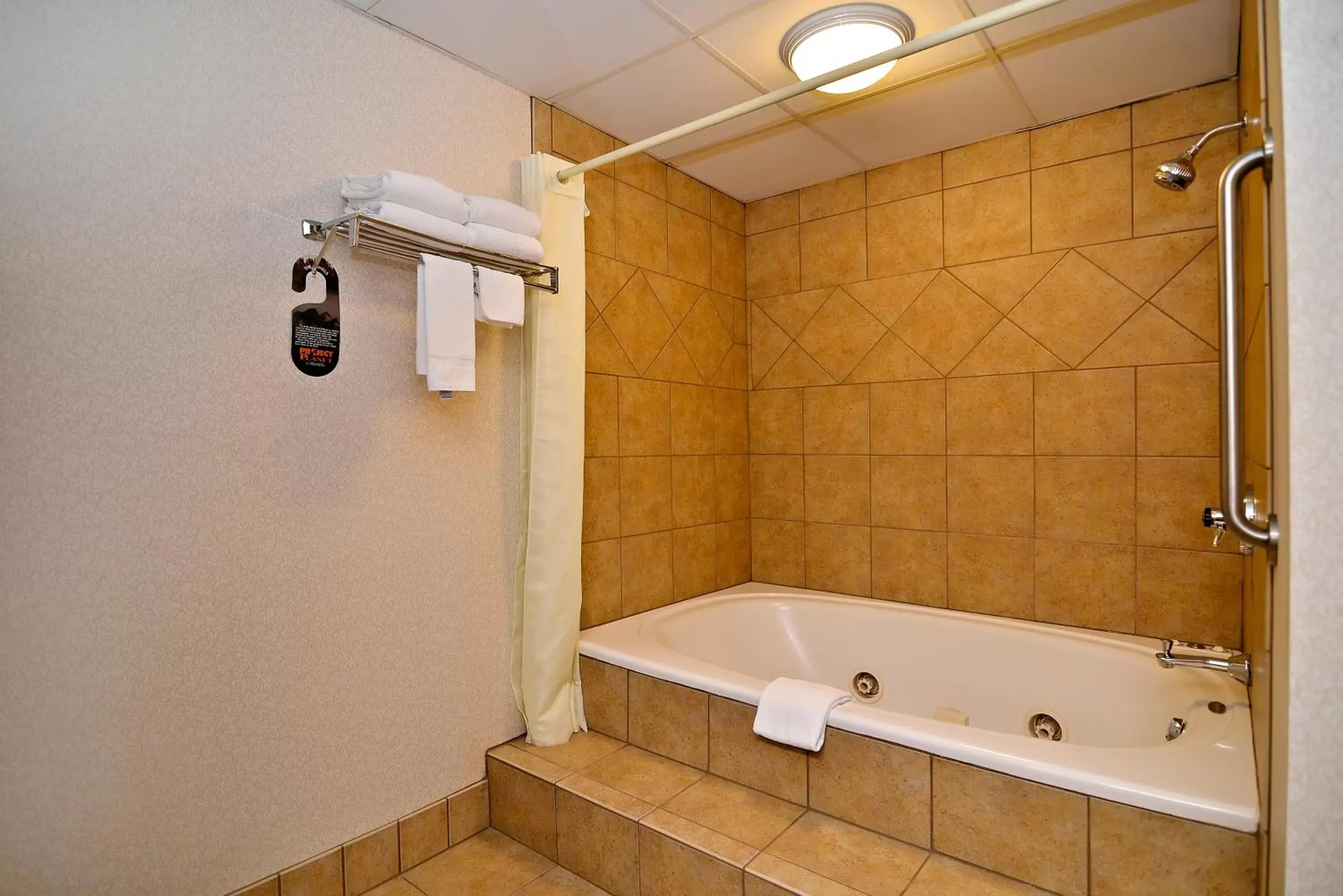 Bathroom in Comfort Inn at Thousand Hills
