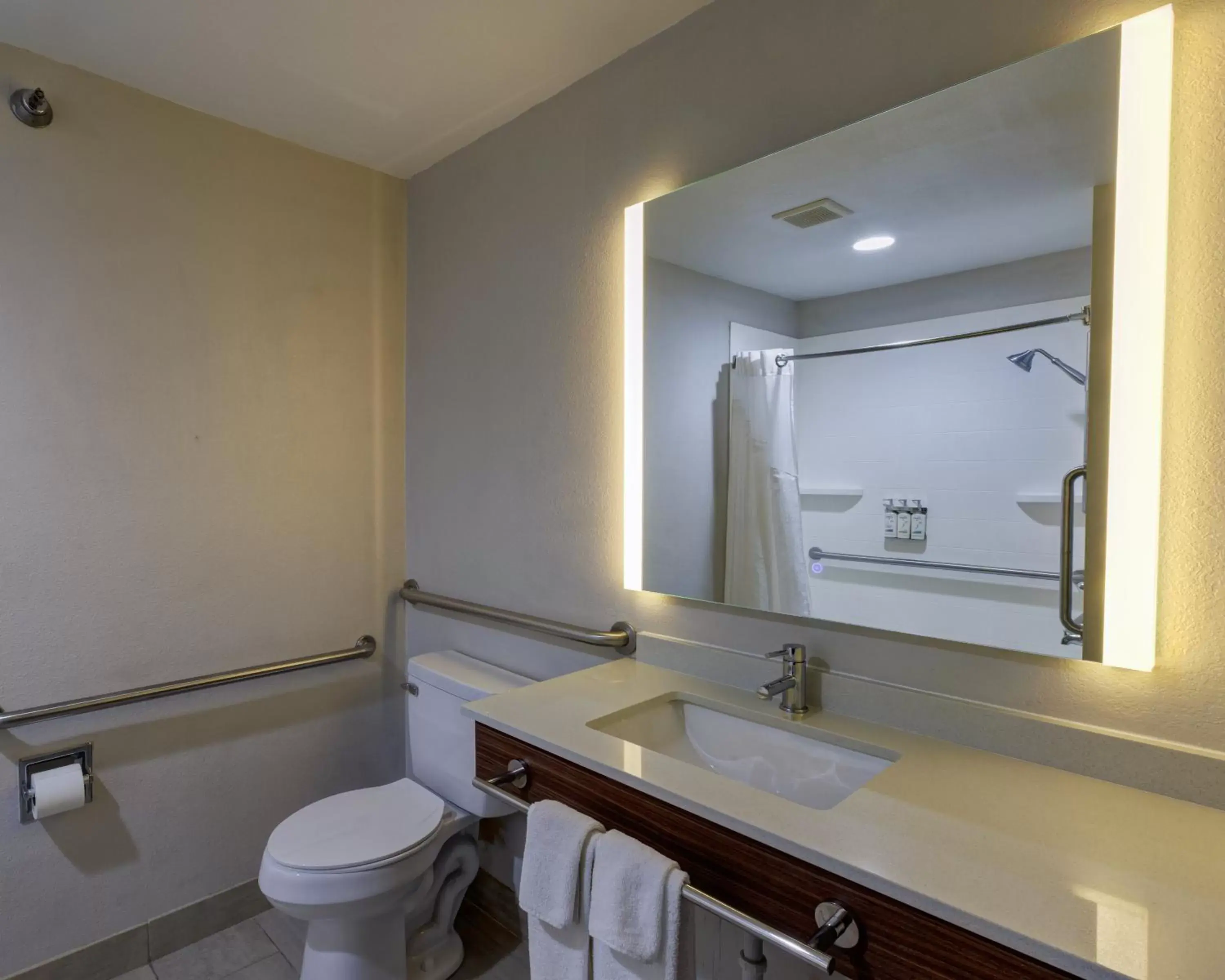 Photo of the whole room, Bathroom in Holiday Inn Express Hotel & Suites Shelbyville, an IHG Hotel