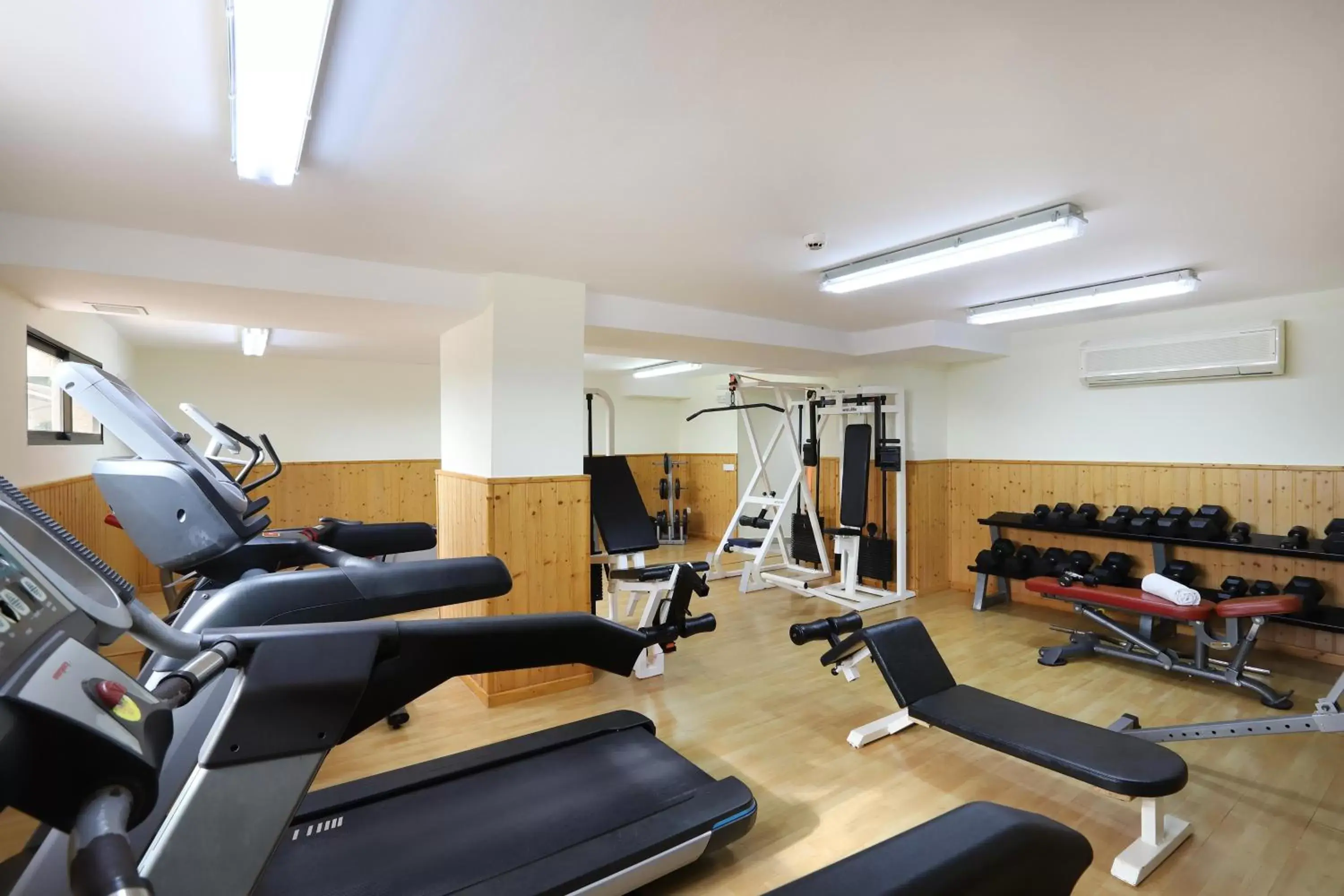 Activities, Fitness Center/Facilities in Hotel Playas de Torrevieja