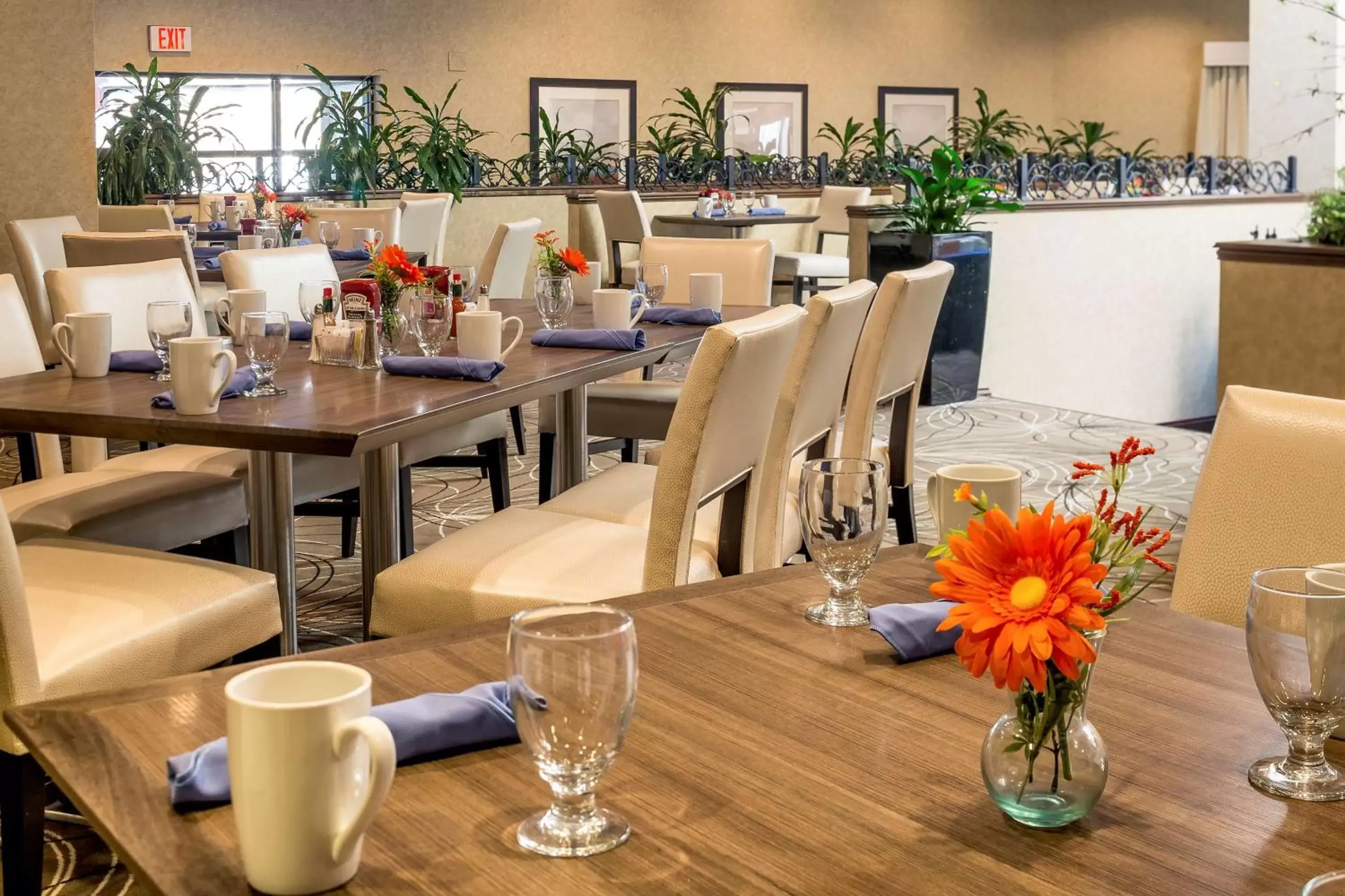 Dining area, Restaurant/Places to Eat in DoubleTree by Hilton Boston-Milford