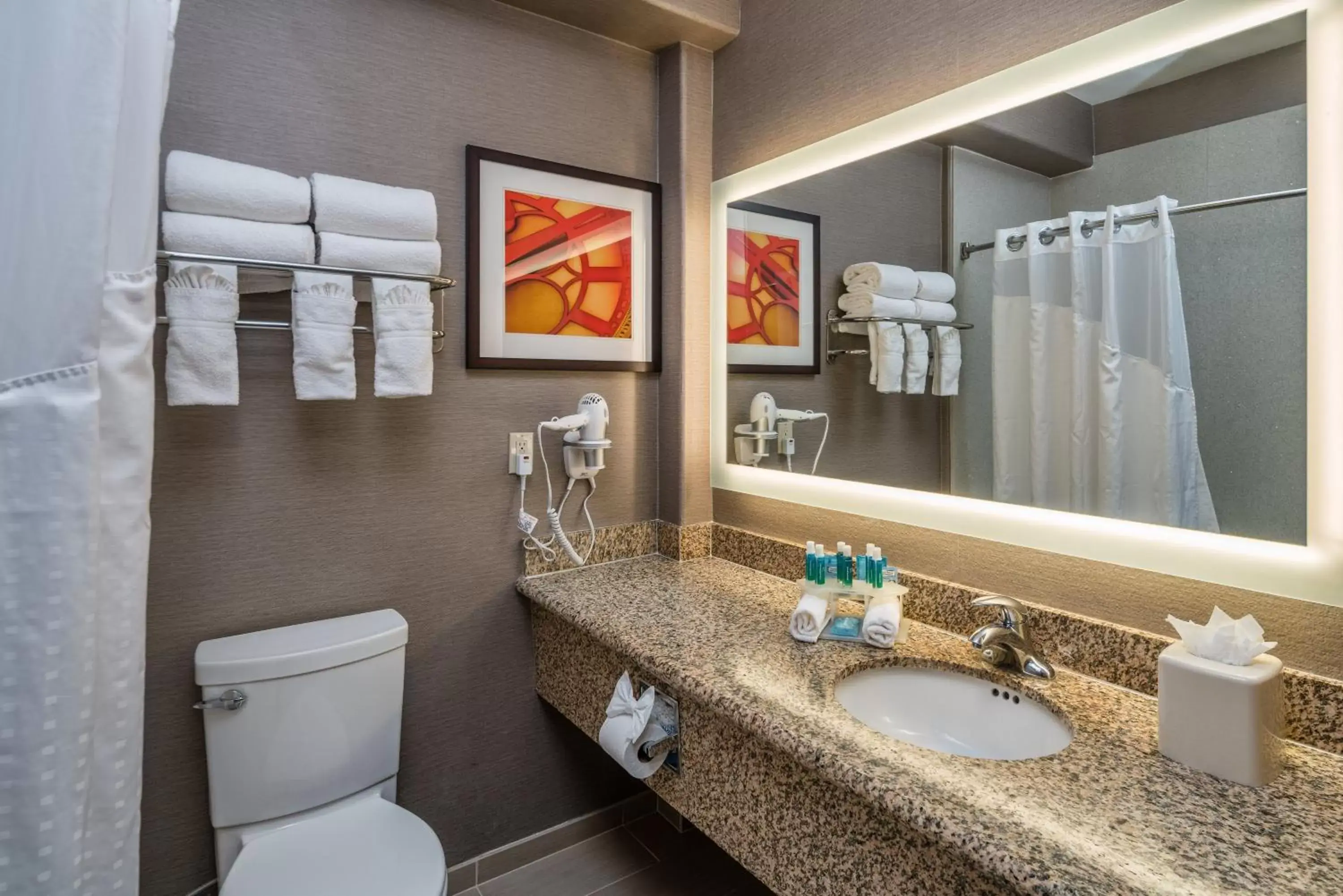 Bathroom in Holiday Inn Express & Suites Santa Clara, an IHG Hotel