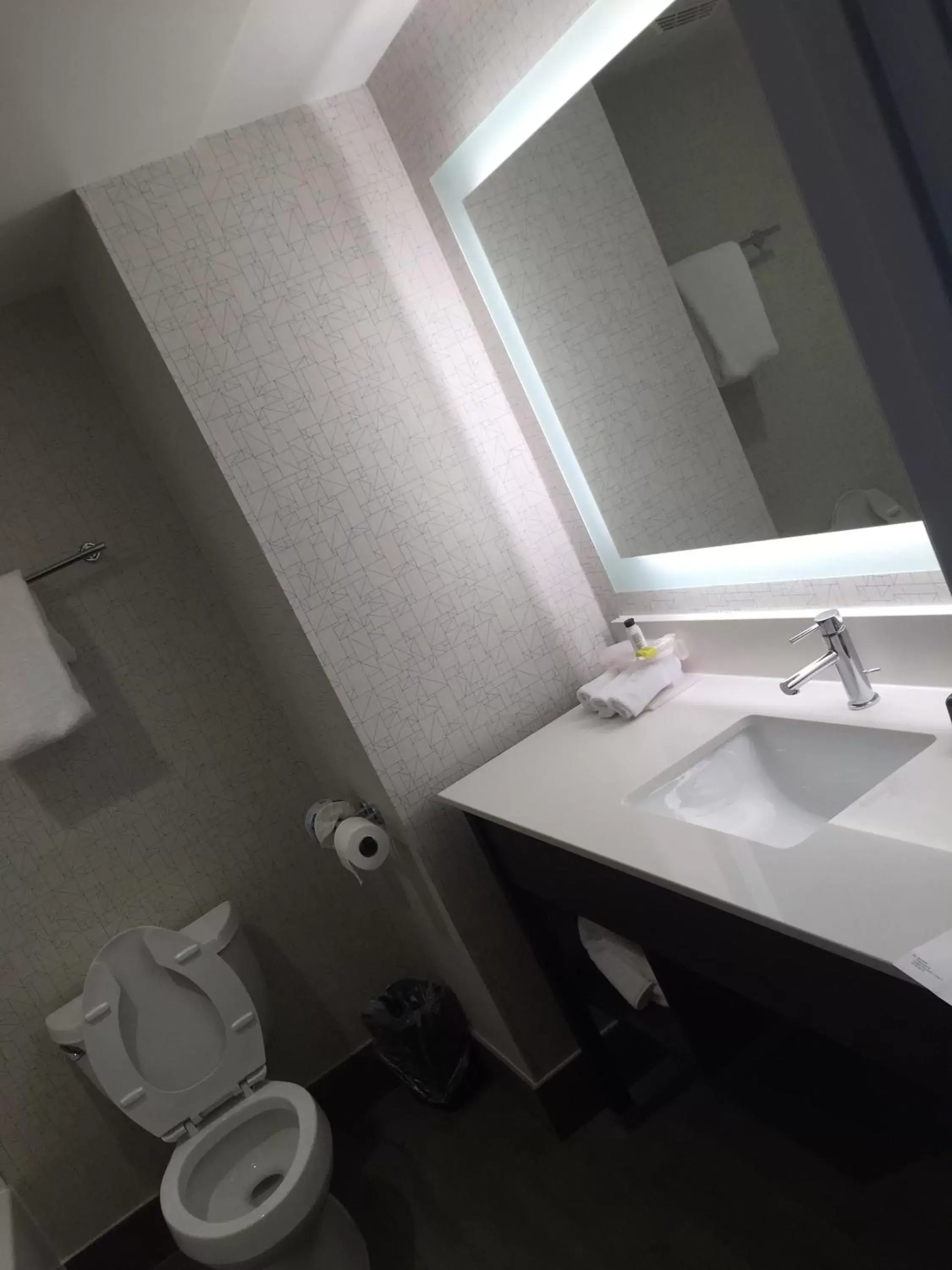 Bathroom in Holiday Inn Express Hotel & Suites Orangeburg, an IHG Hotel