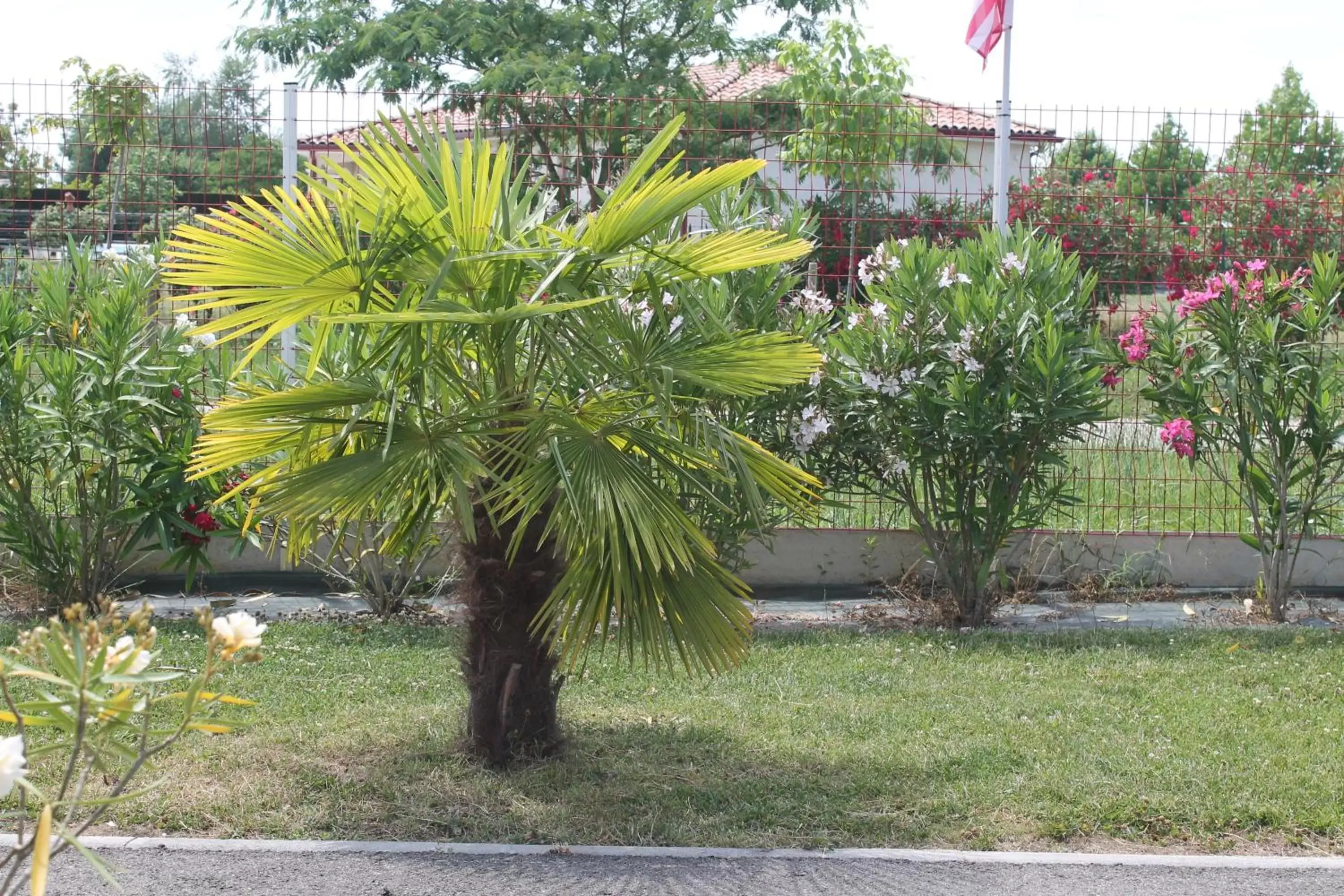 Natural landscape, Garden in B&B La Garona