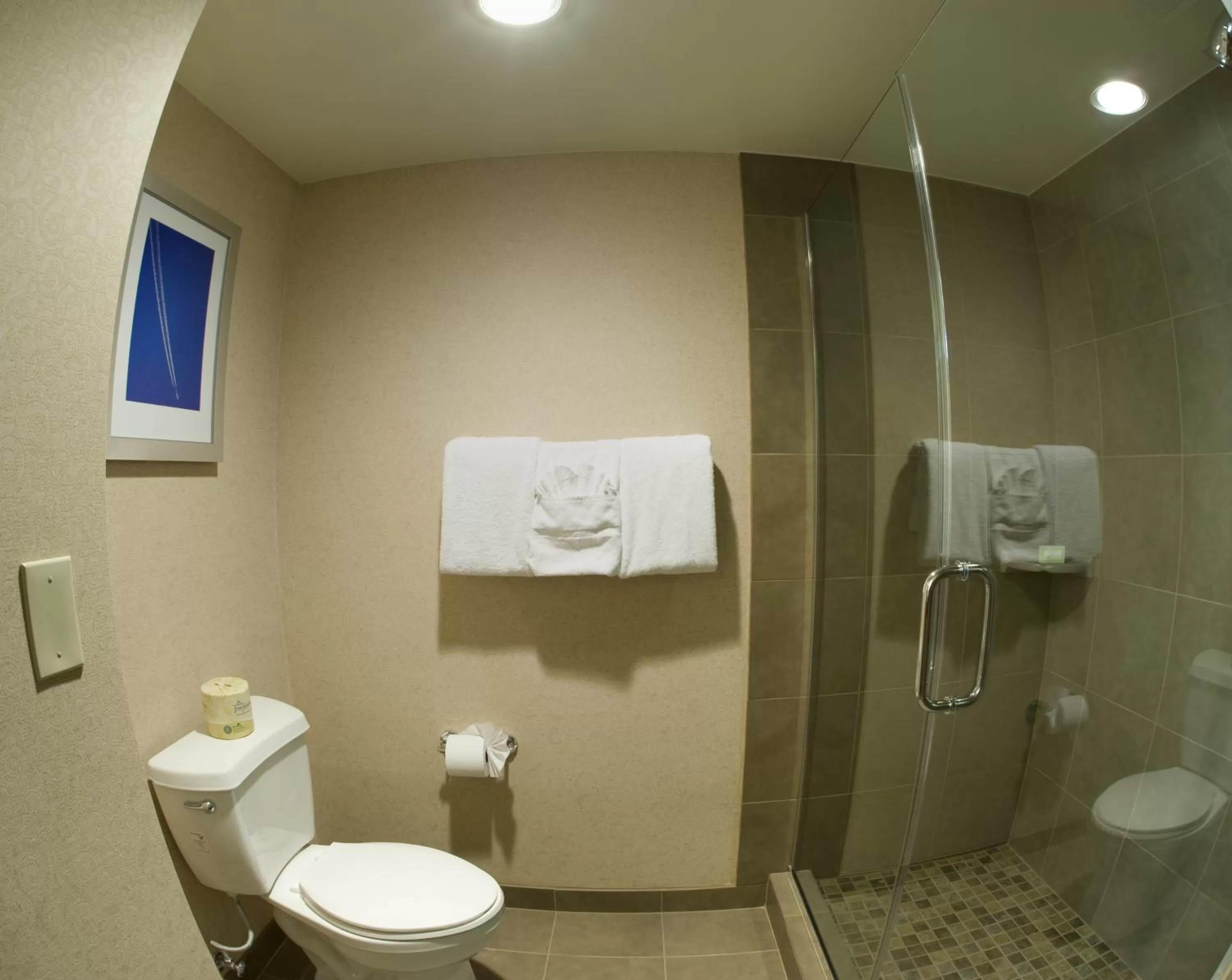 Bathroom in Airtel Plaza Hotel