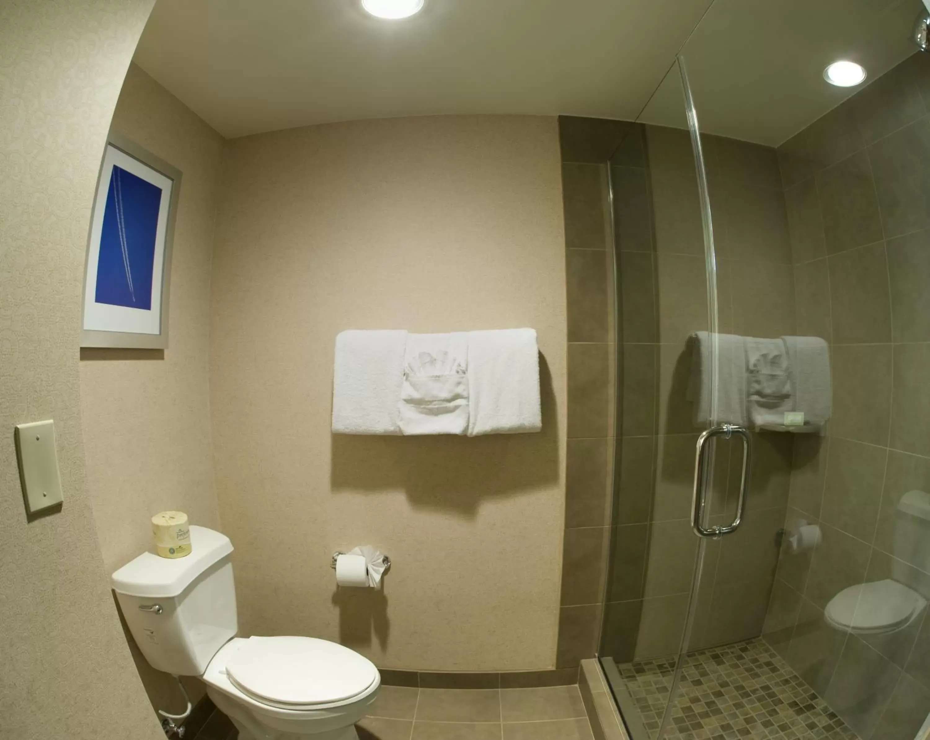 Bathroom in Airtel Plaza Hotel