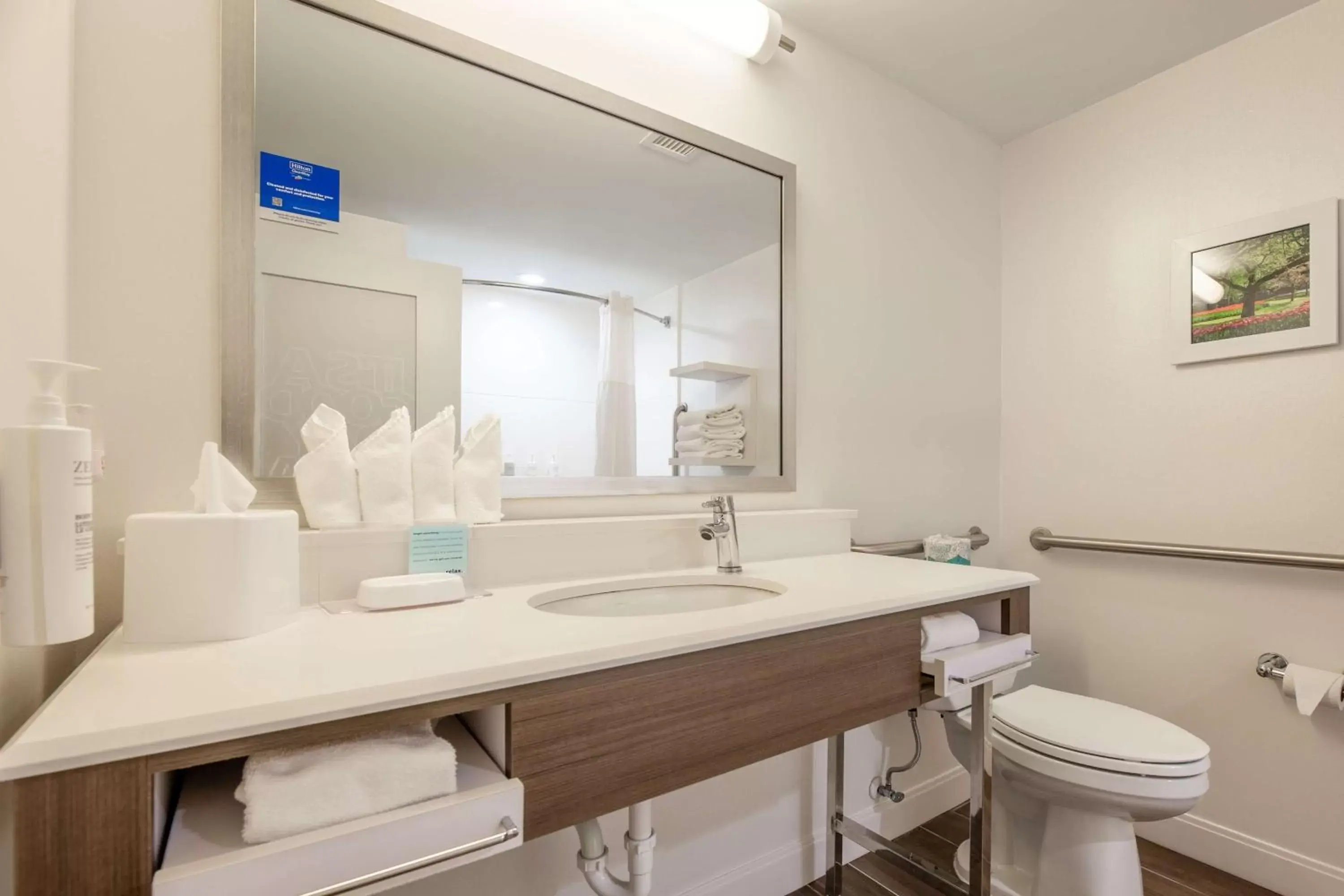 Bathroom in Hampton Inn Columbia I-26/Harbison Blvd
