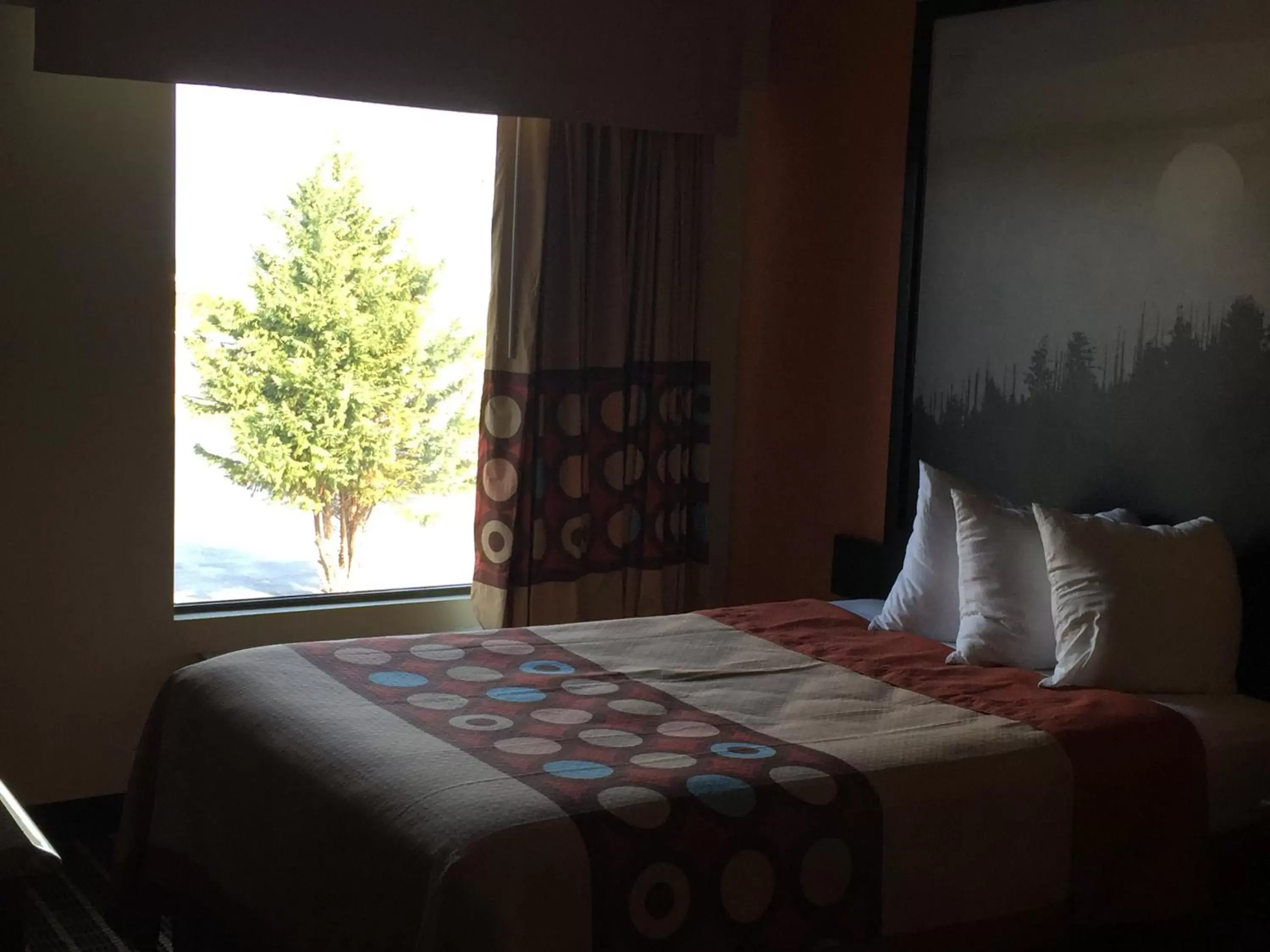 View (from property/room), Bed in Super 8 by Wyndham Dandridge