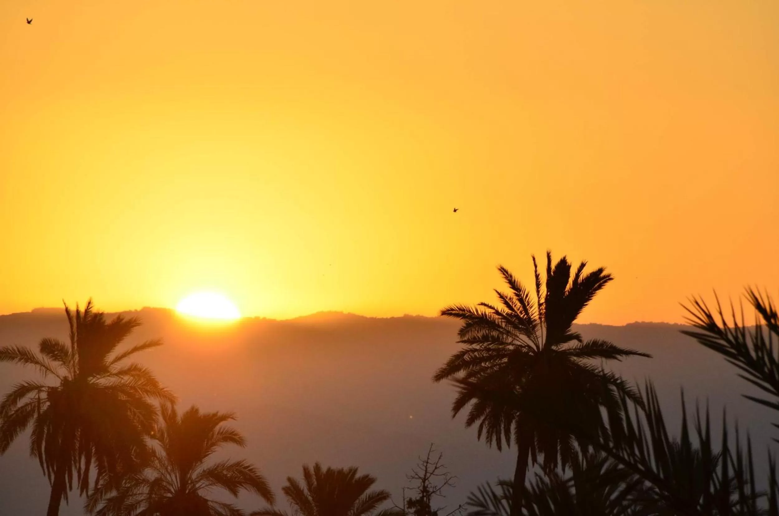 Summer in Auberg-Inn Guesthouse