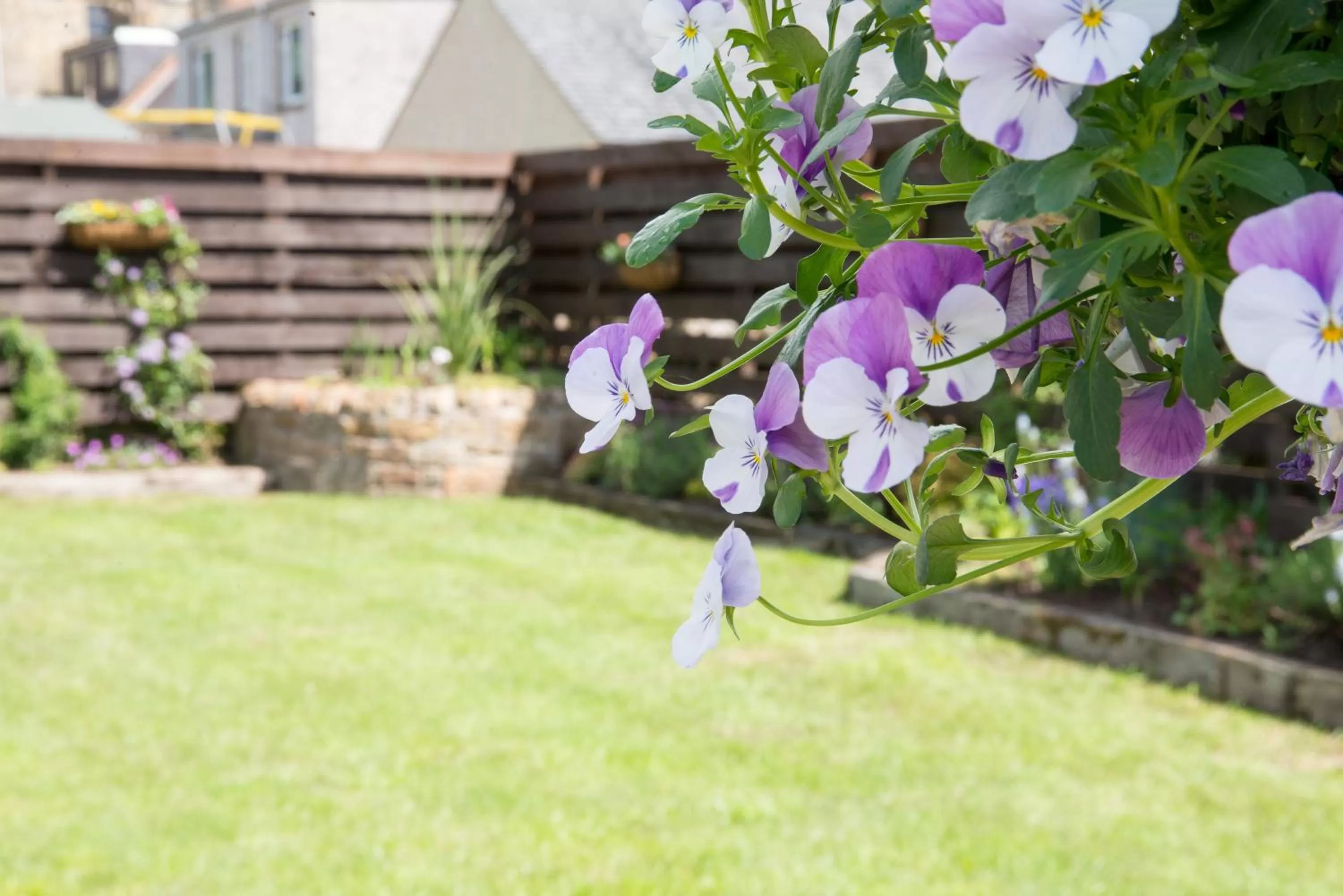 Garden in Nithsdale Hotel