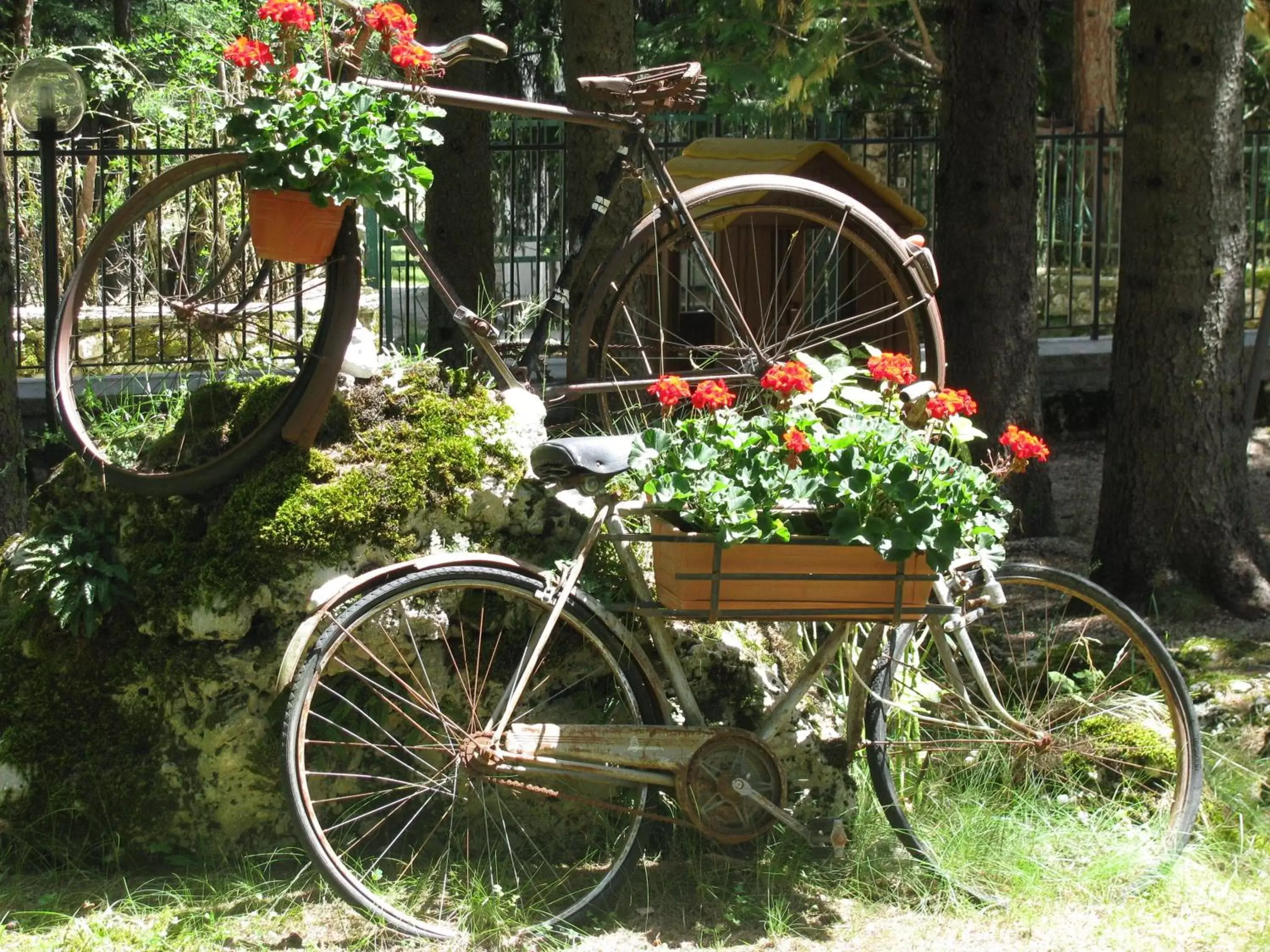 Day, Biking in LH Albergo Il Paradiso