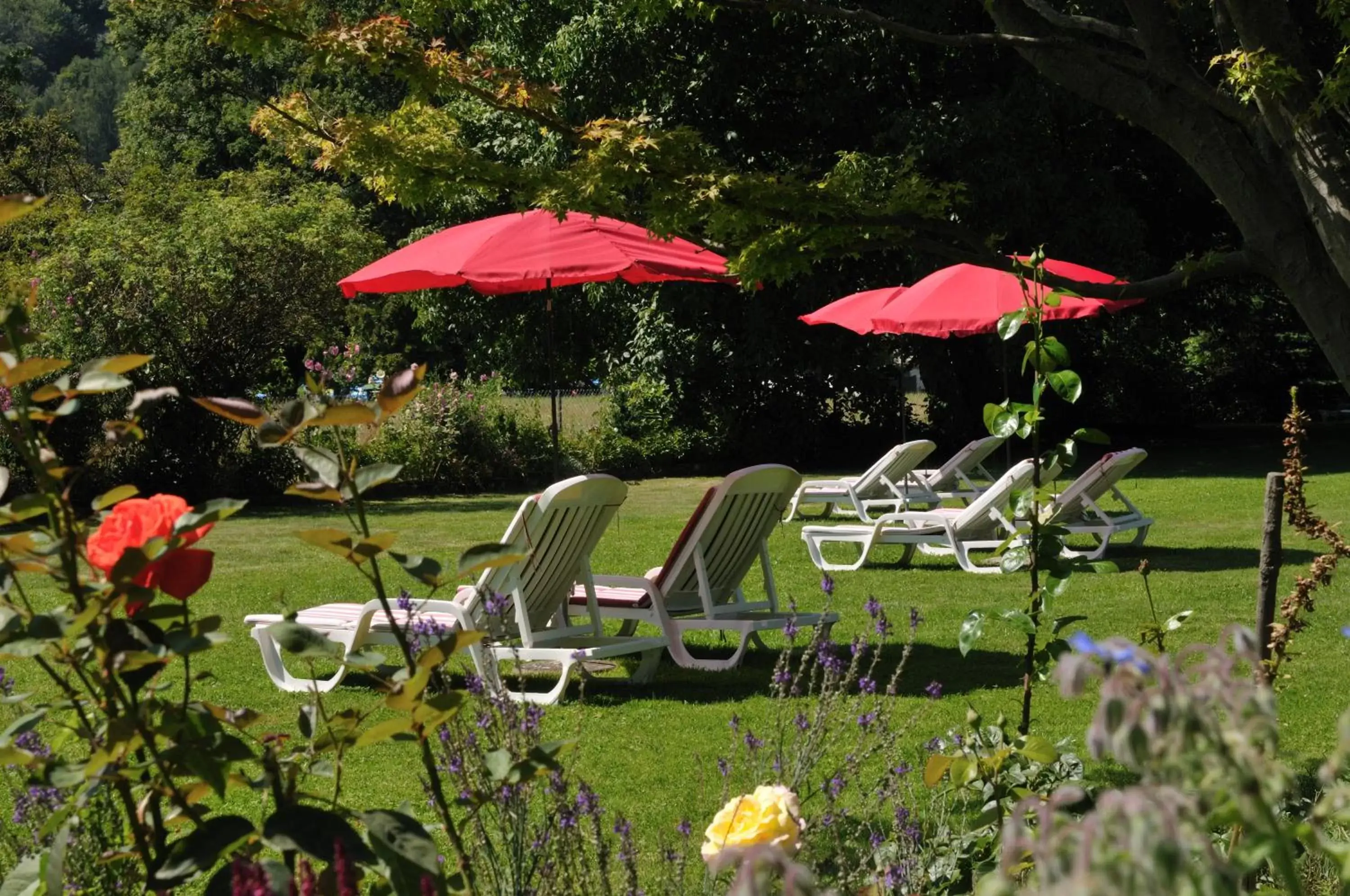 Garden in Hotel Royal St Georges Interlaken MGallery Collection