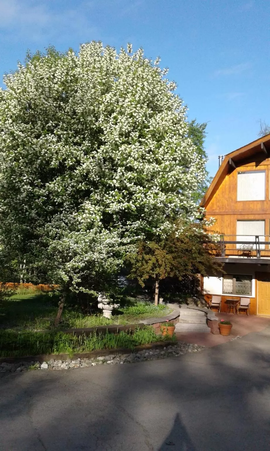 Alaska Chalet Bed & Breakfast