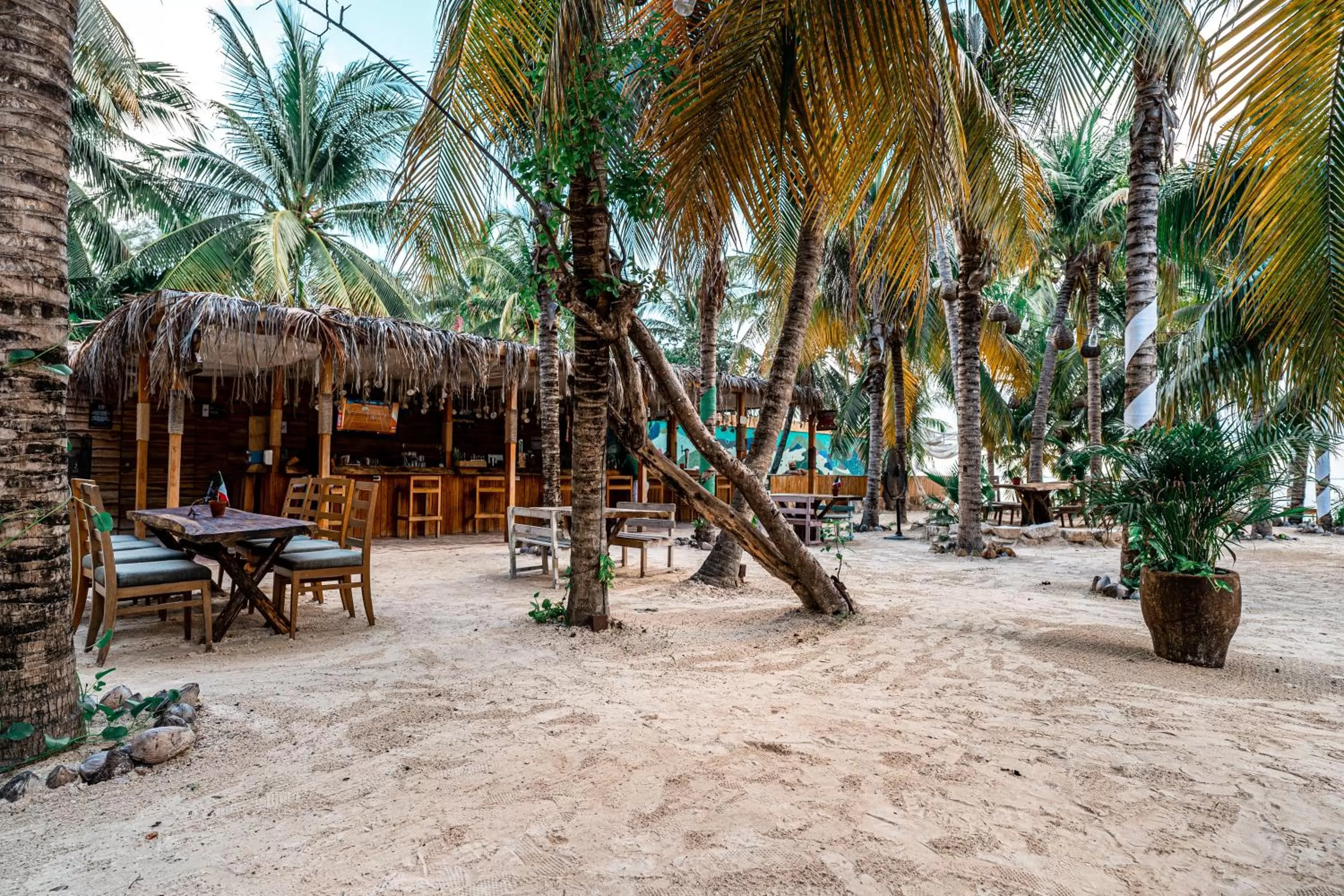 Restaurant/places to eat, Beach in Nomads Hotel, Hostel & Beachclub