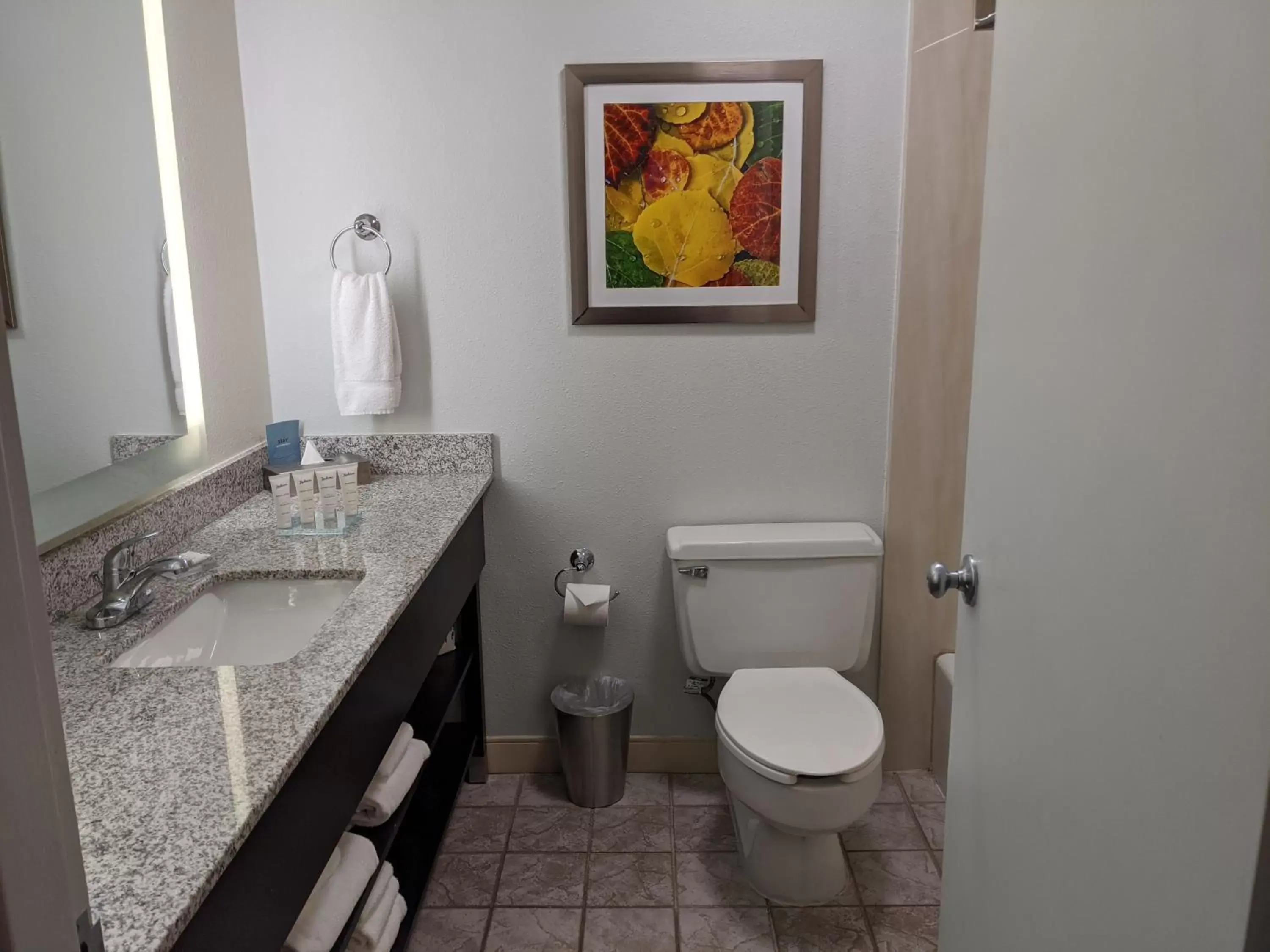 Toilet, Bathroom in Radisson Hotel Denver Central