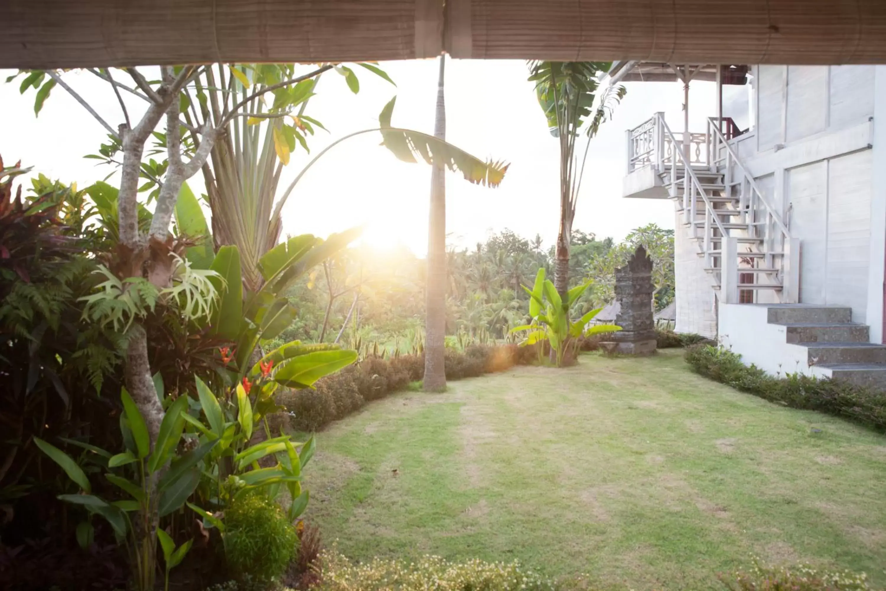 Garden in B Saya Villas