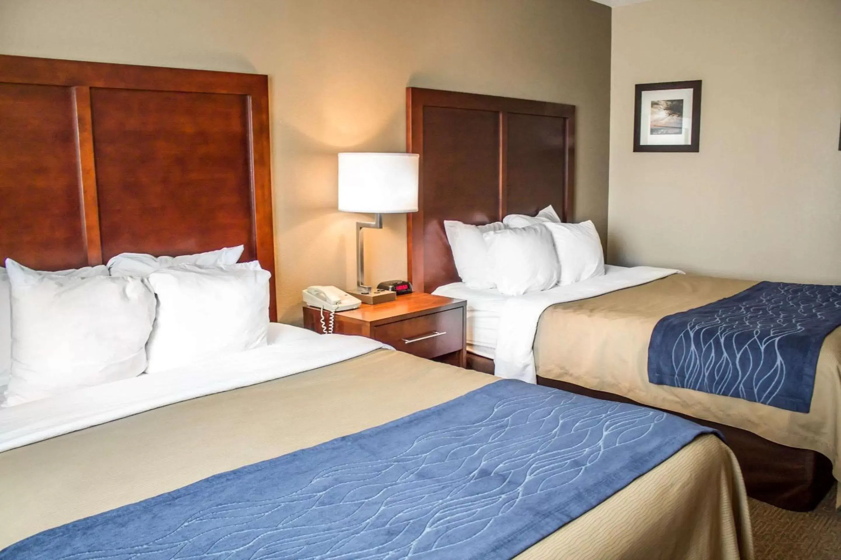 Photo of the whole room, Bed in Comfort Inn & Suites Fremont