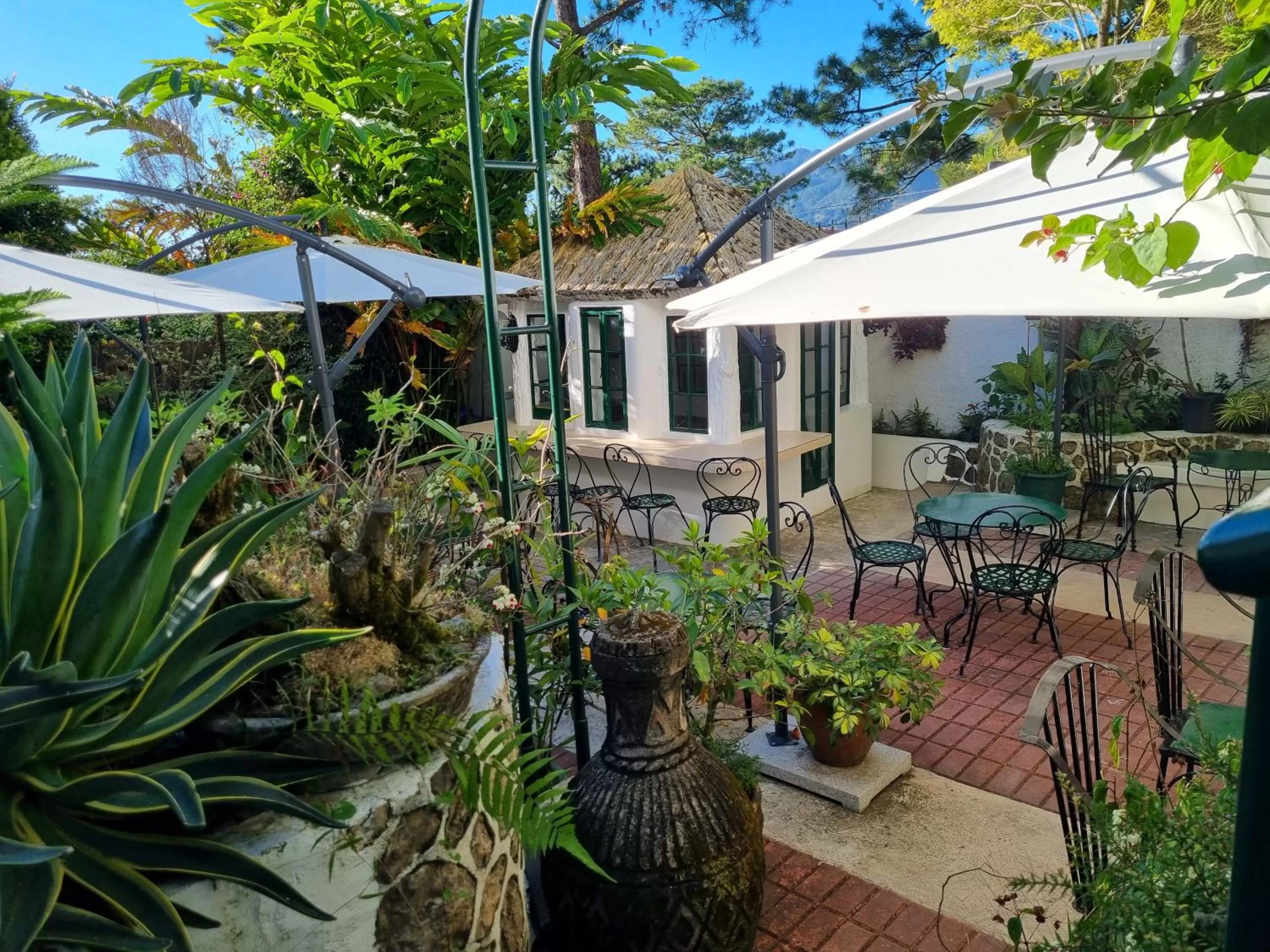 View (from property/room) in Guesthaven Baguio Bed and Breakfast