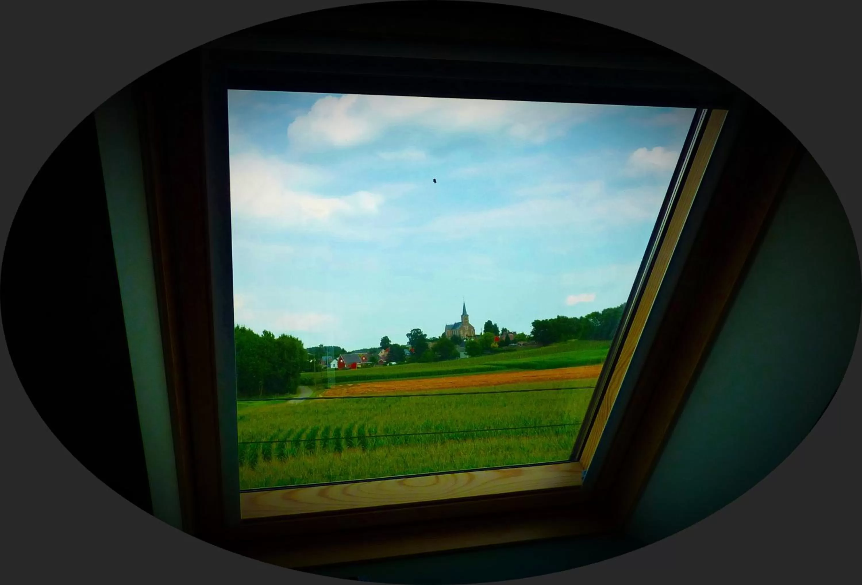 View (from property/room) in B&B Silentium