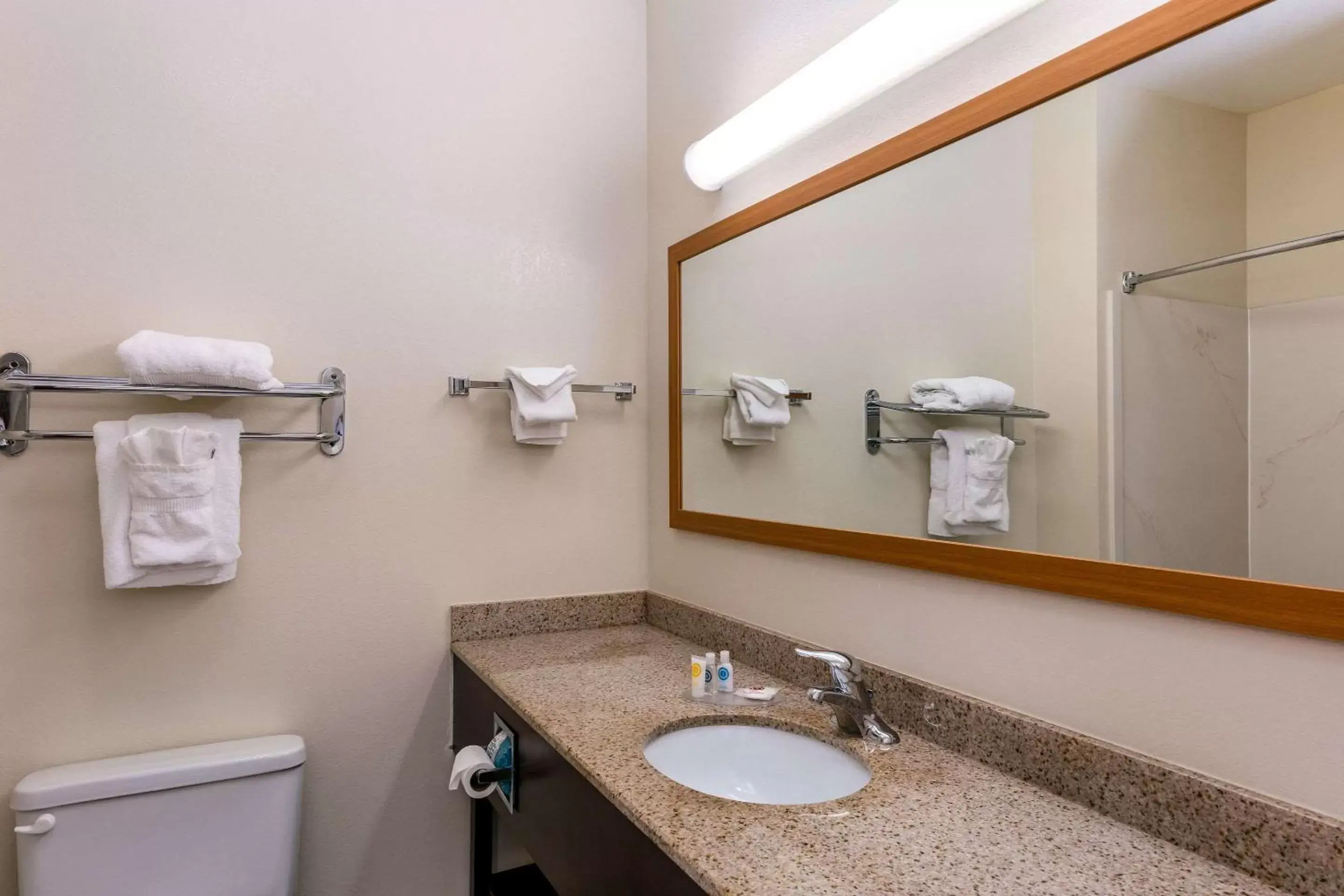 Bathroom in Comfort Inn & Suites Savannah Airport