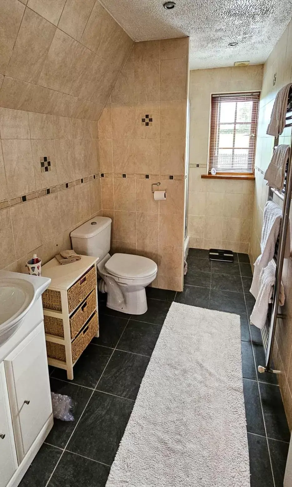 Bathroom in Drumhirk House