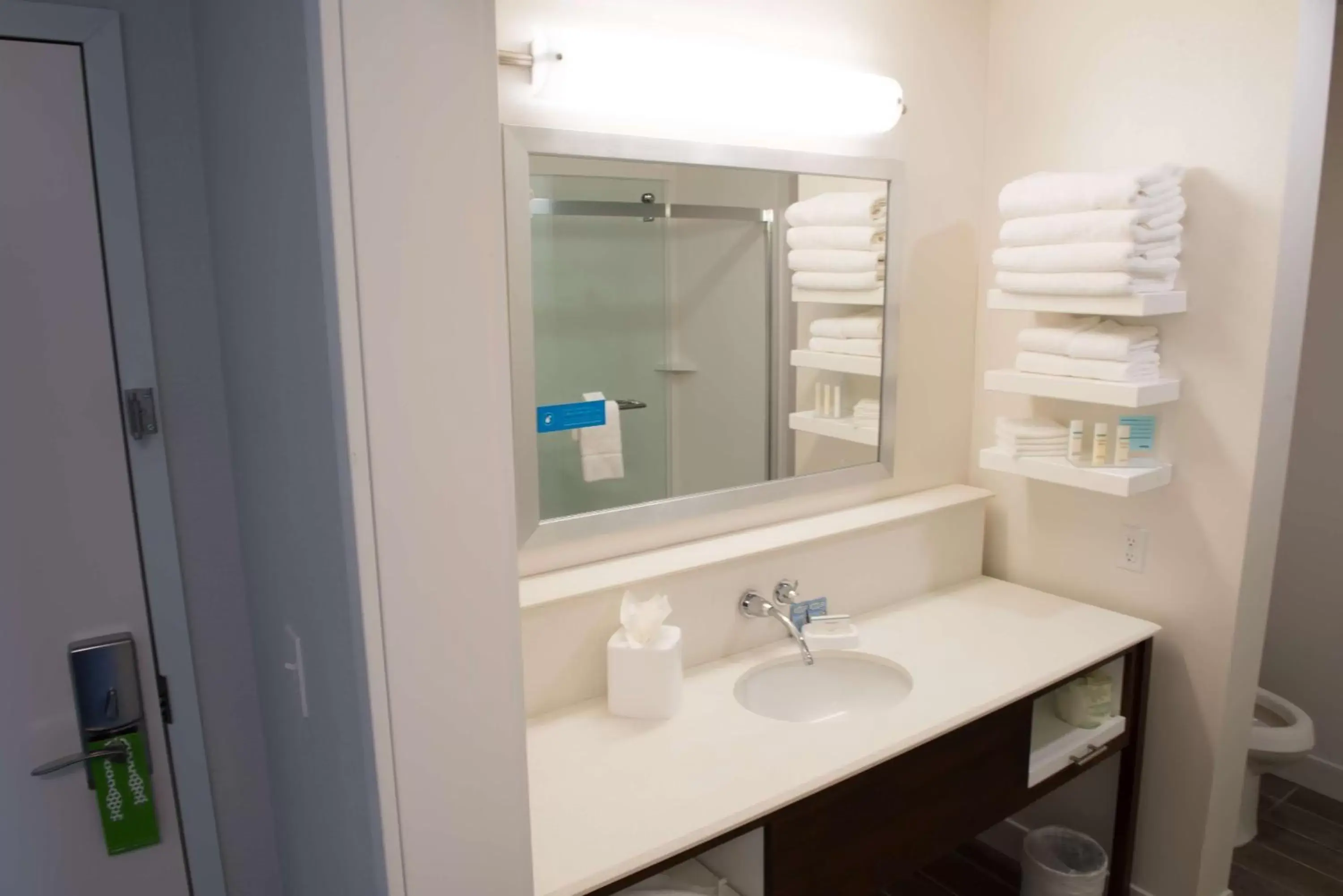 Photo of the whole room, Bathroom in Hampton Inn & Suites Bay City