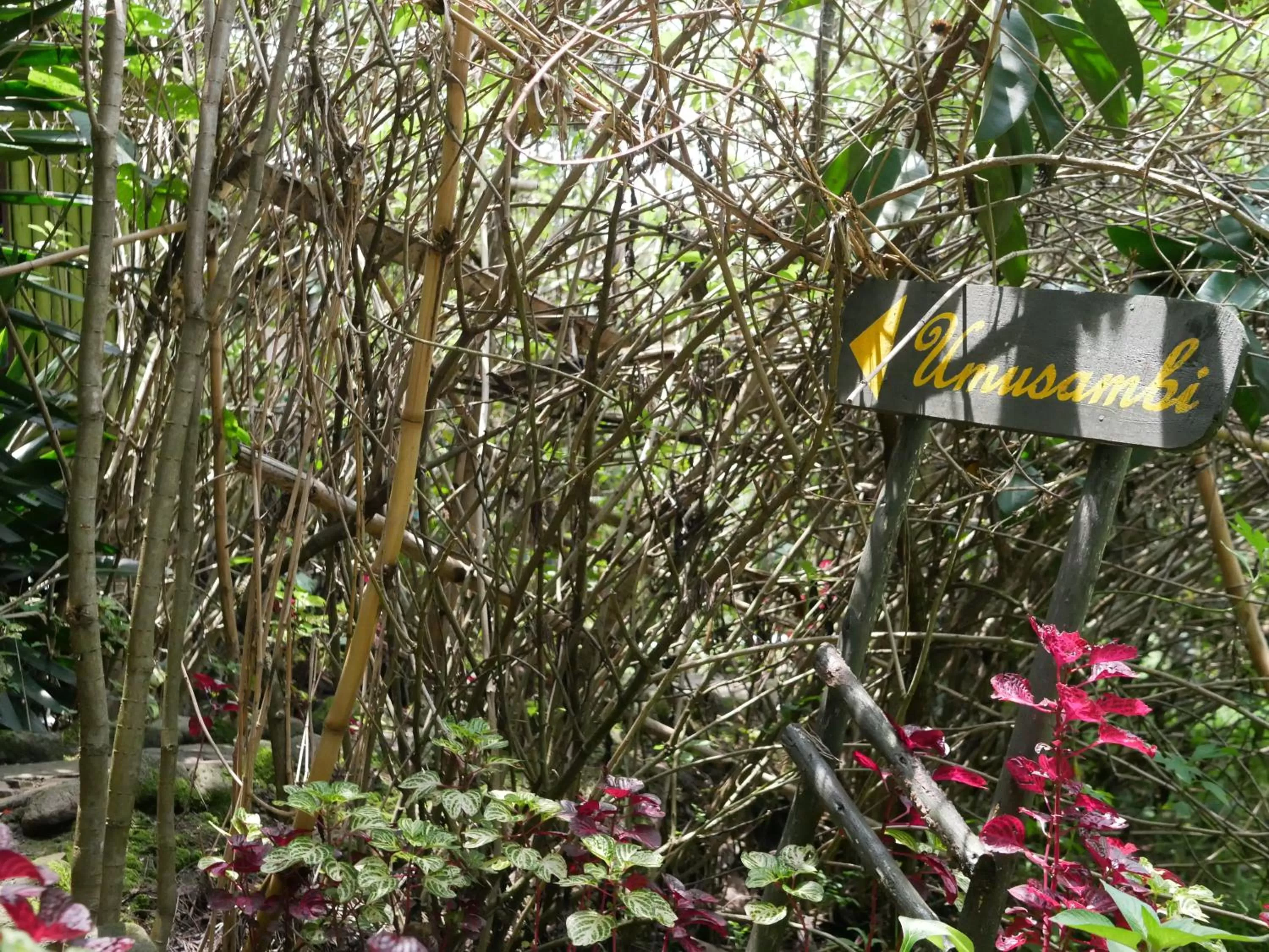 Garden in Fravan Eco Resort By Apogee