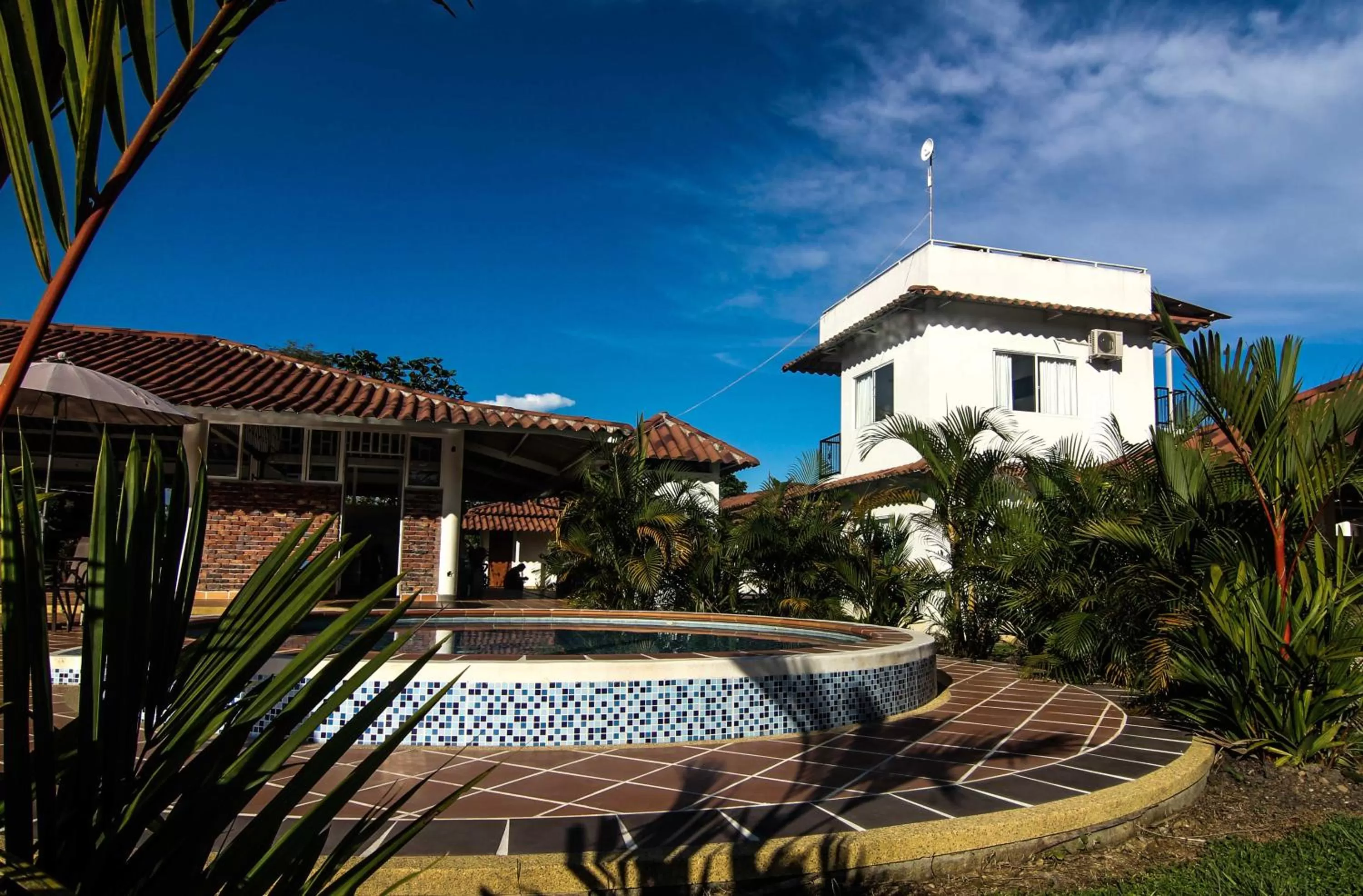 Garden, Swimming Pool in Hotel Mastranto