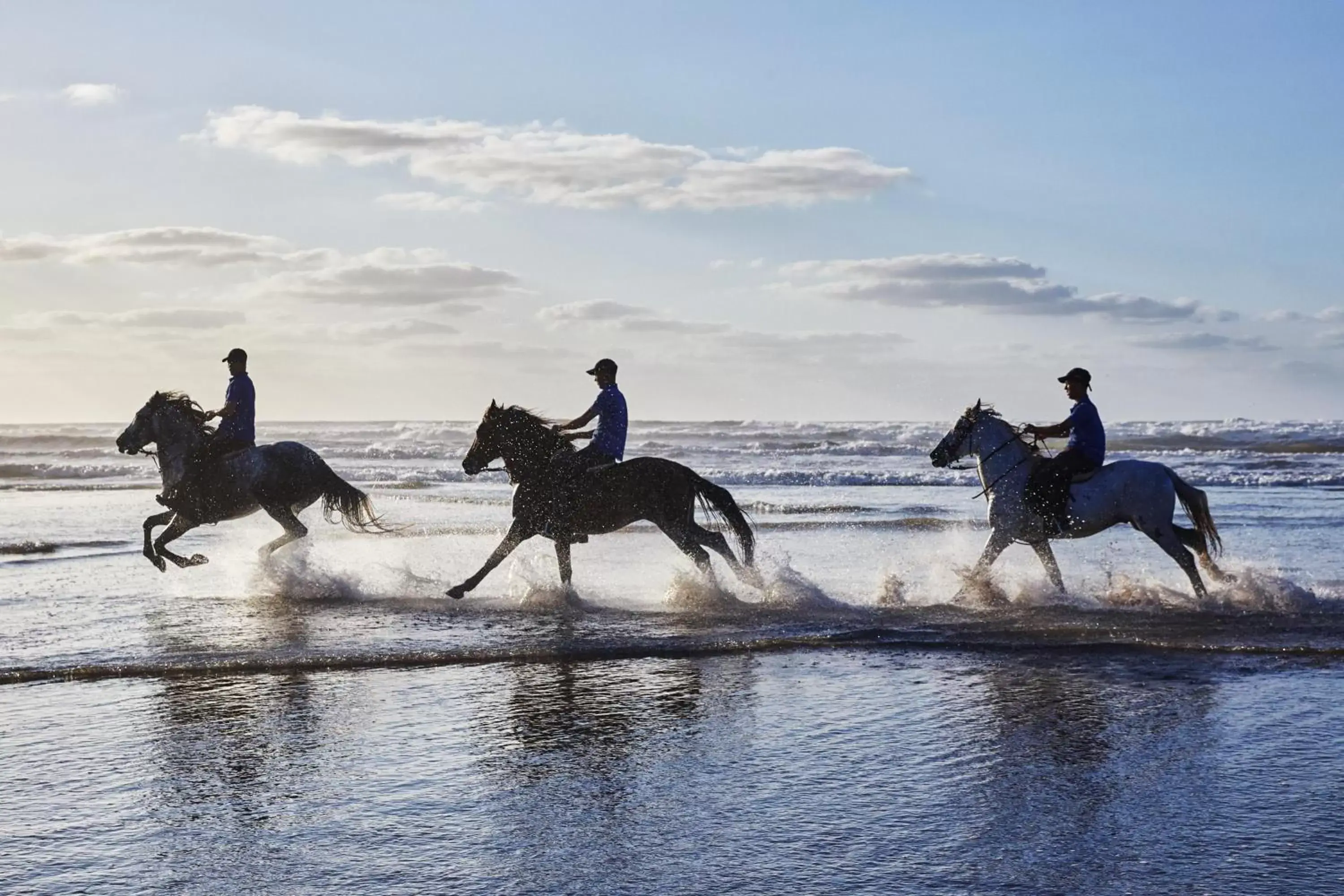 Activities, Horseback Riding in Mazagan Beach & Golf Resort