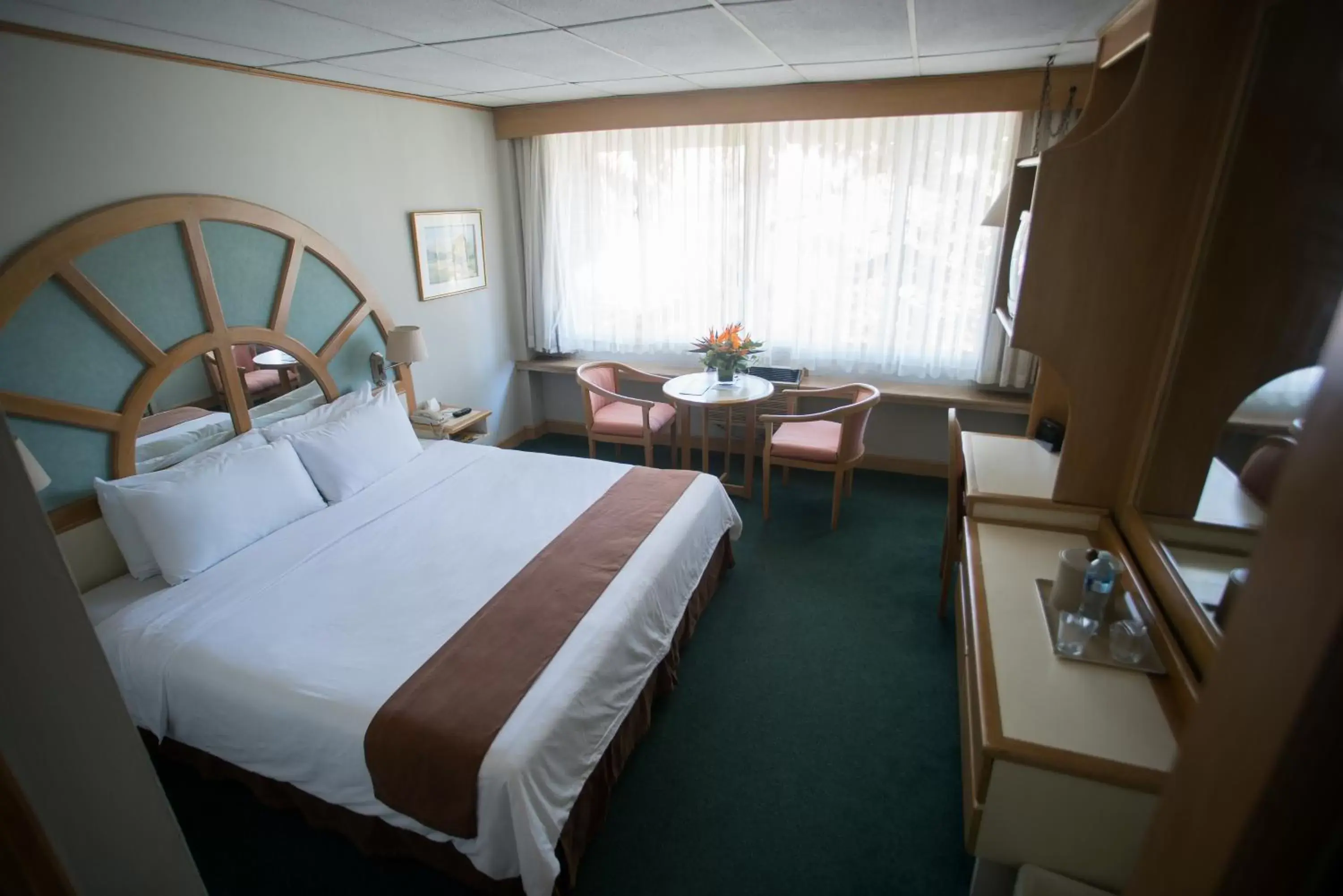 Photo of the whole room, Bed in Best Western Plus Hotel Terraza Photo of the whole room, Bed in Best Western Plus Hotel Terraza