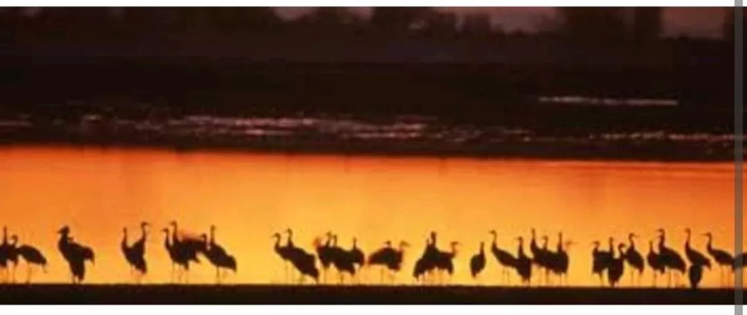 Les chambres touristique Juléa