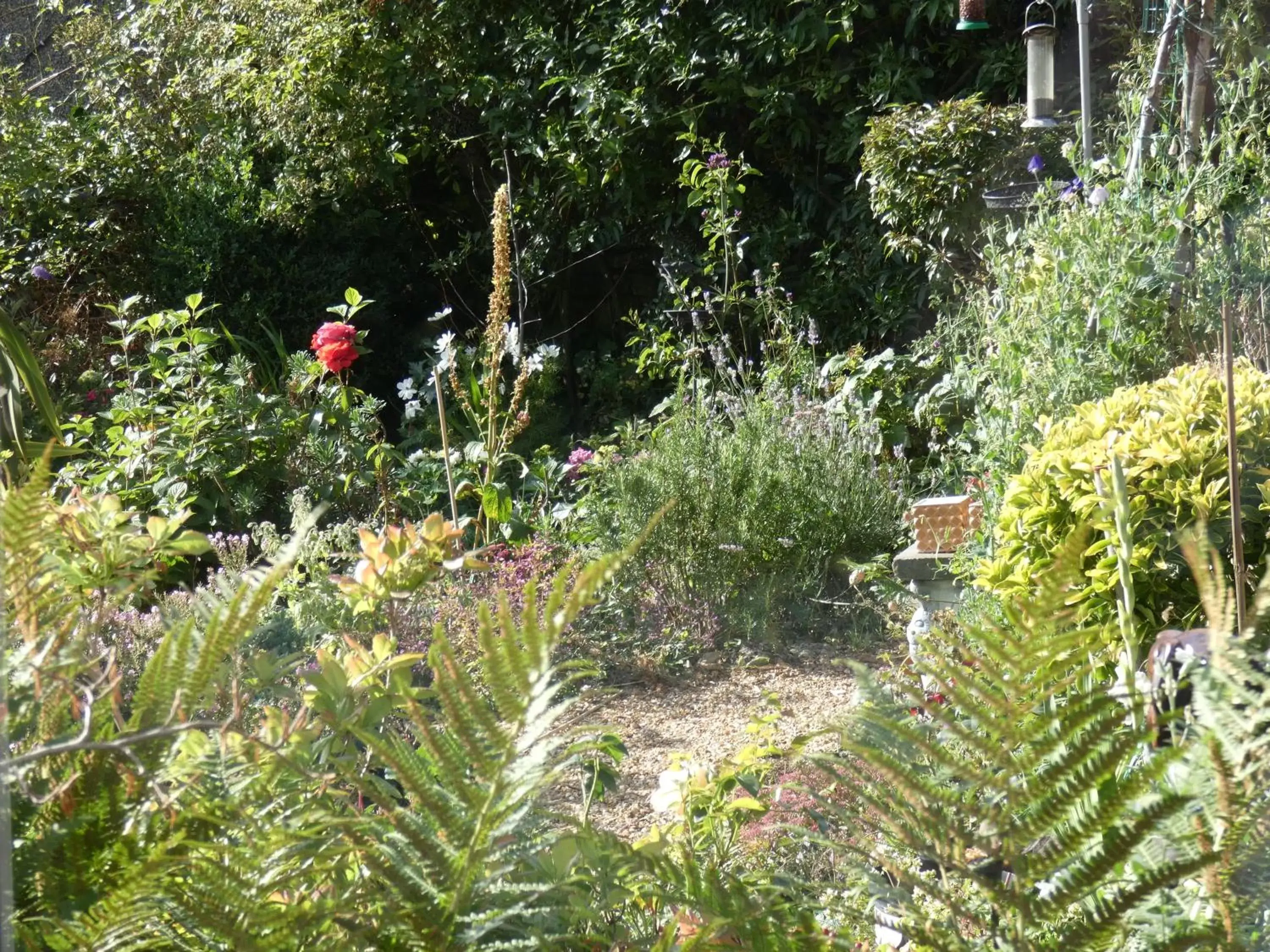 Garden in Kentwood Guest House