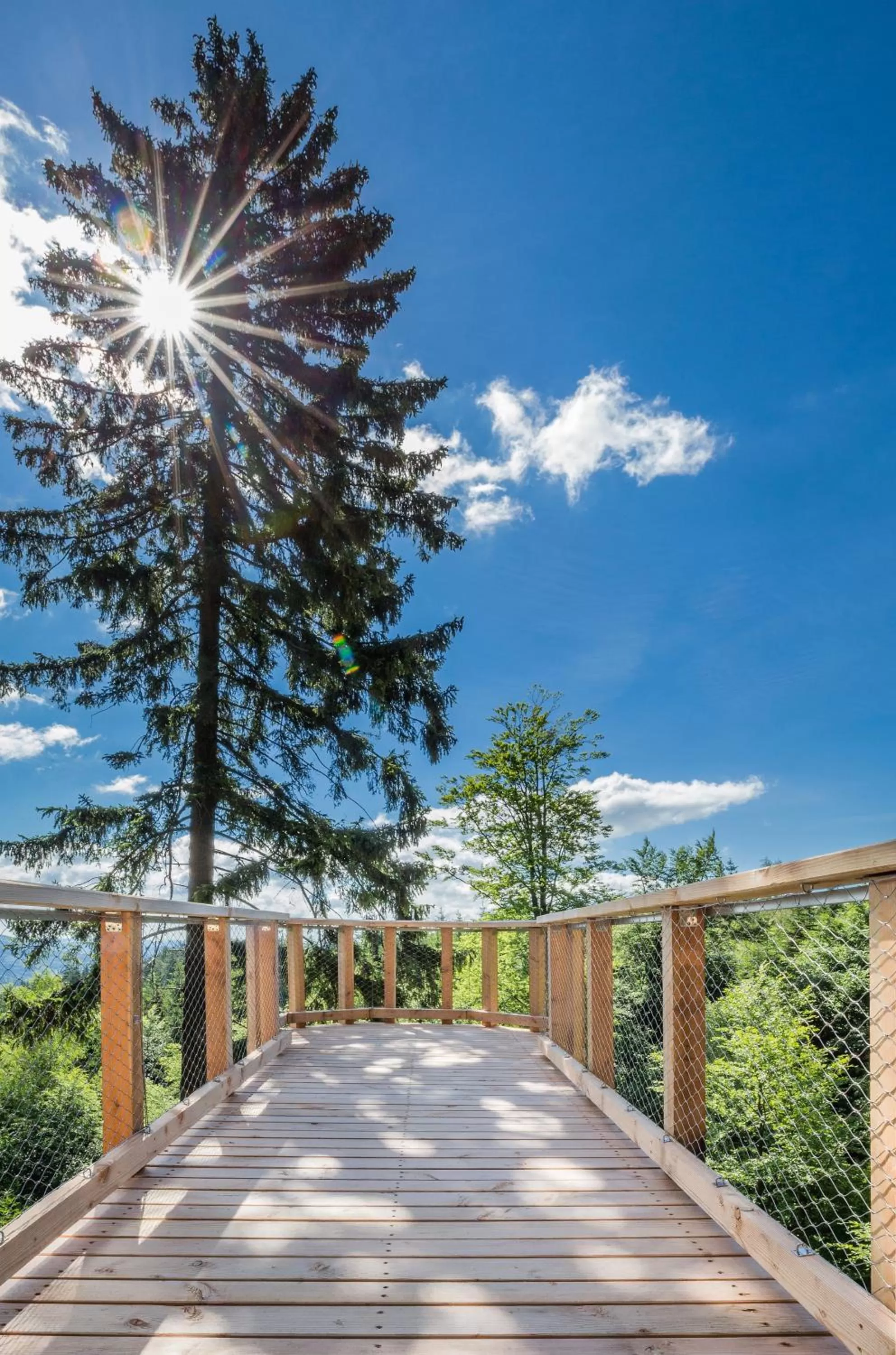 Nearby landmark in Ski Hotel Svoboda nad Úpou