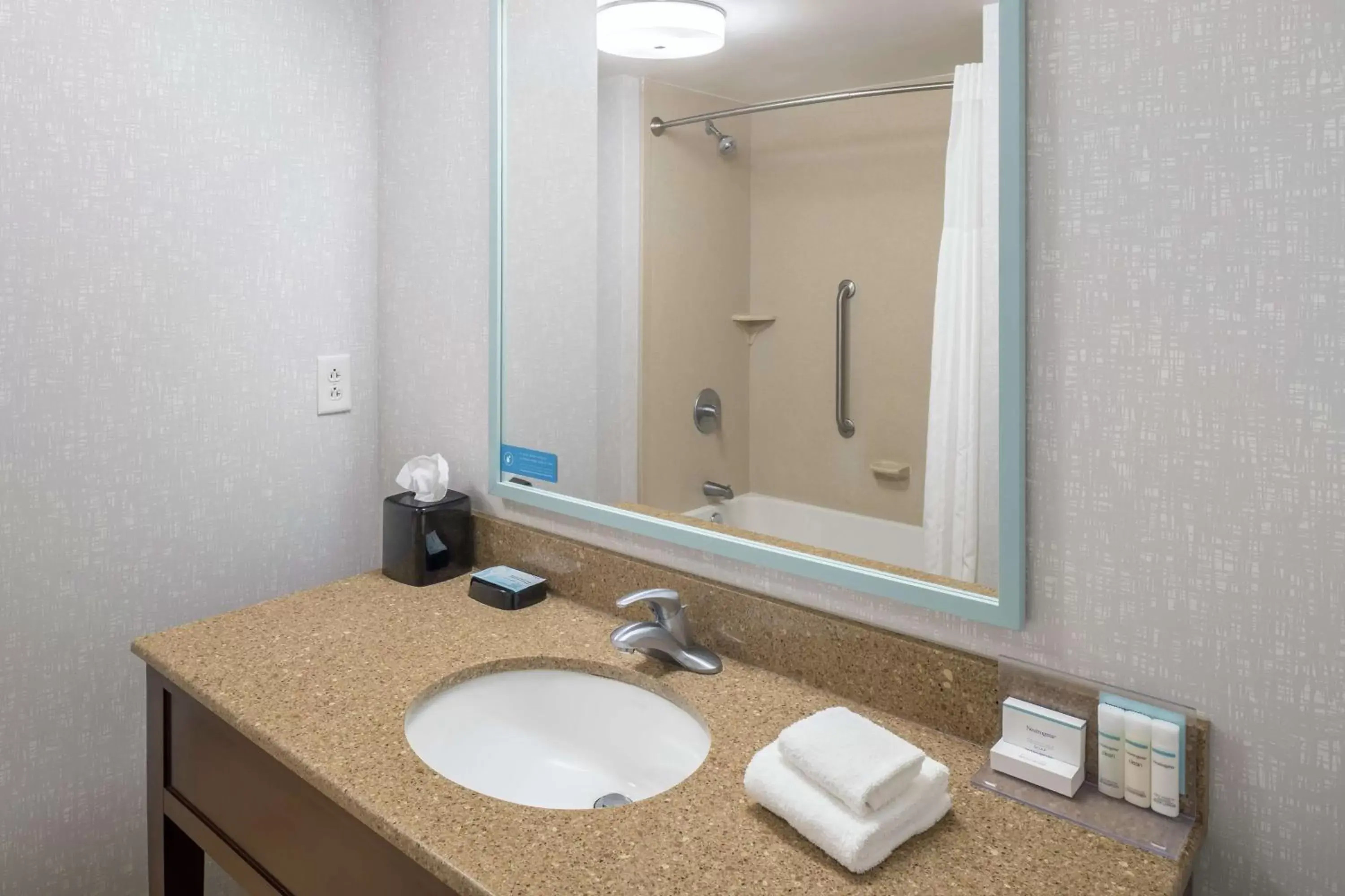 Bathroom in Hampton Inn New Smyrna Beach