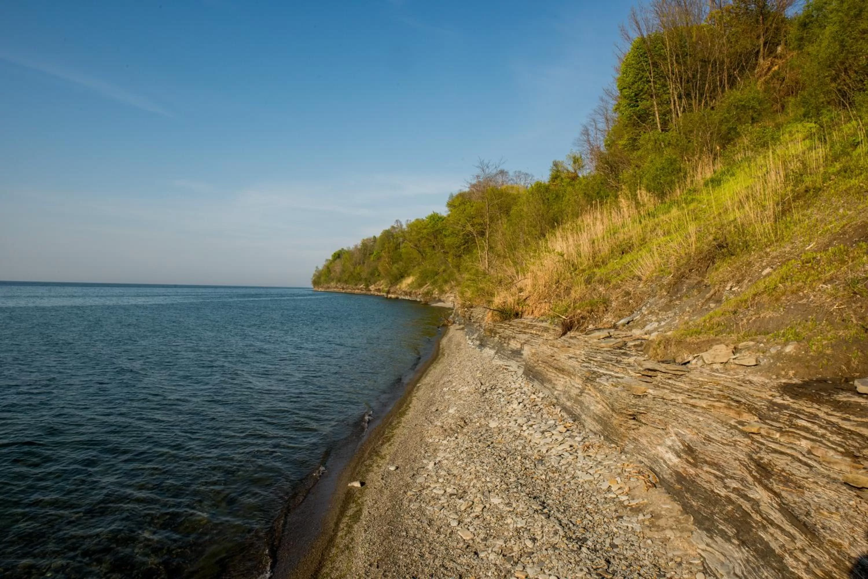 Beach in Lakeview on the Lake