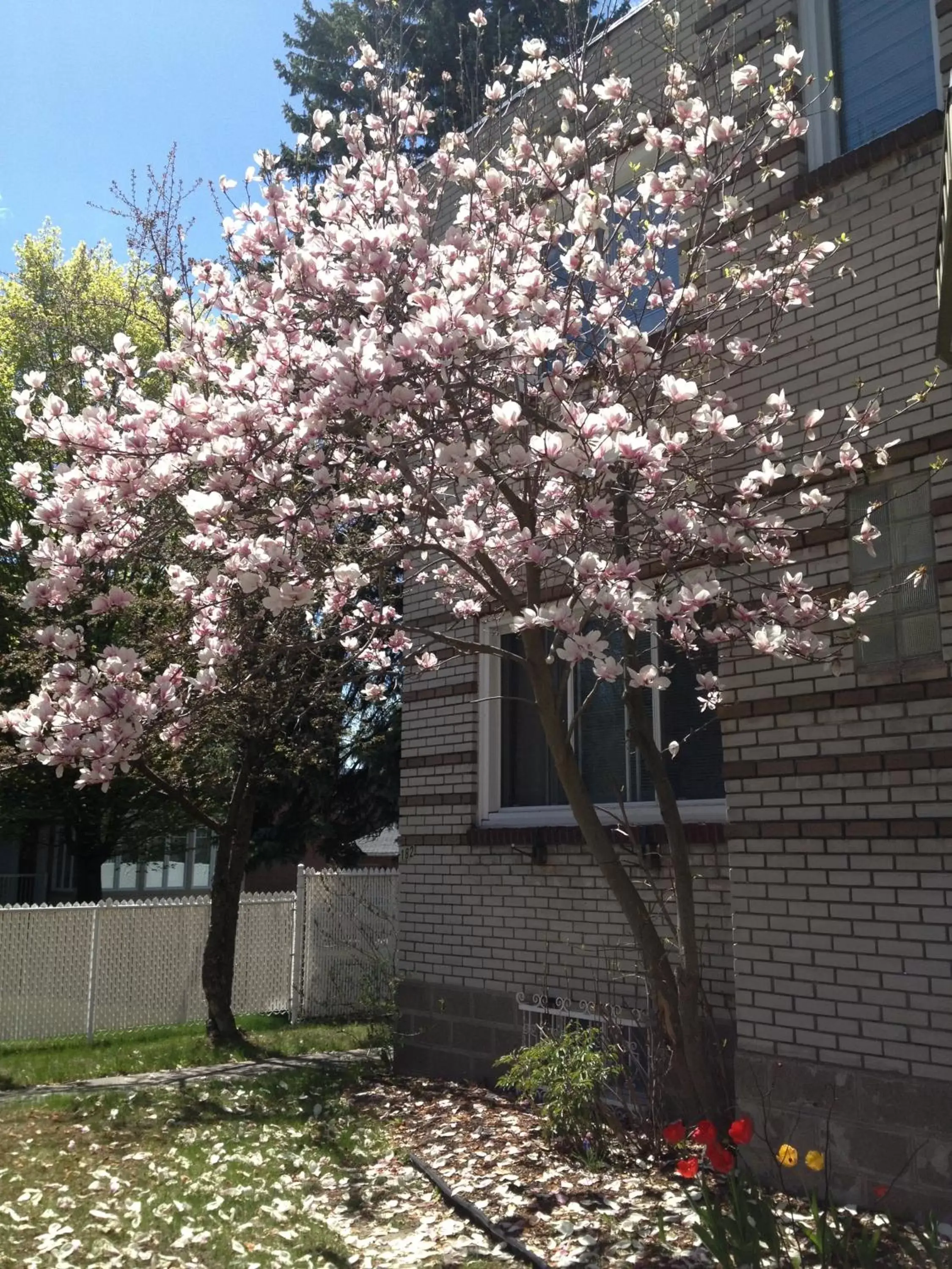 Spring, Property Building in Magnolia B&B