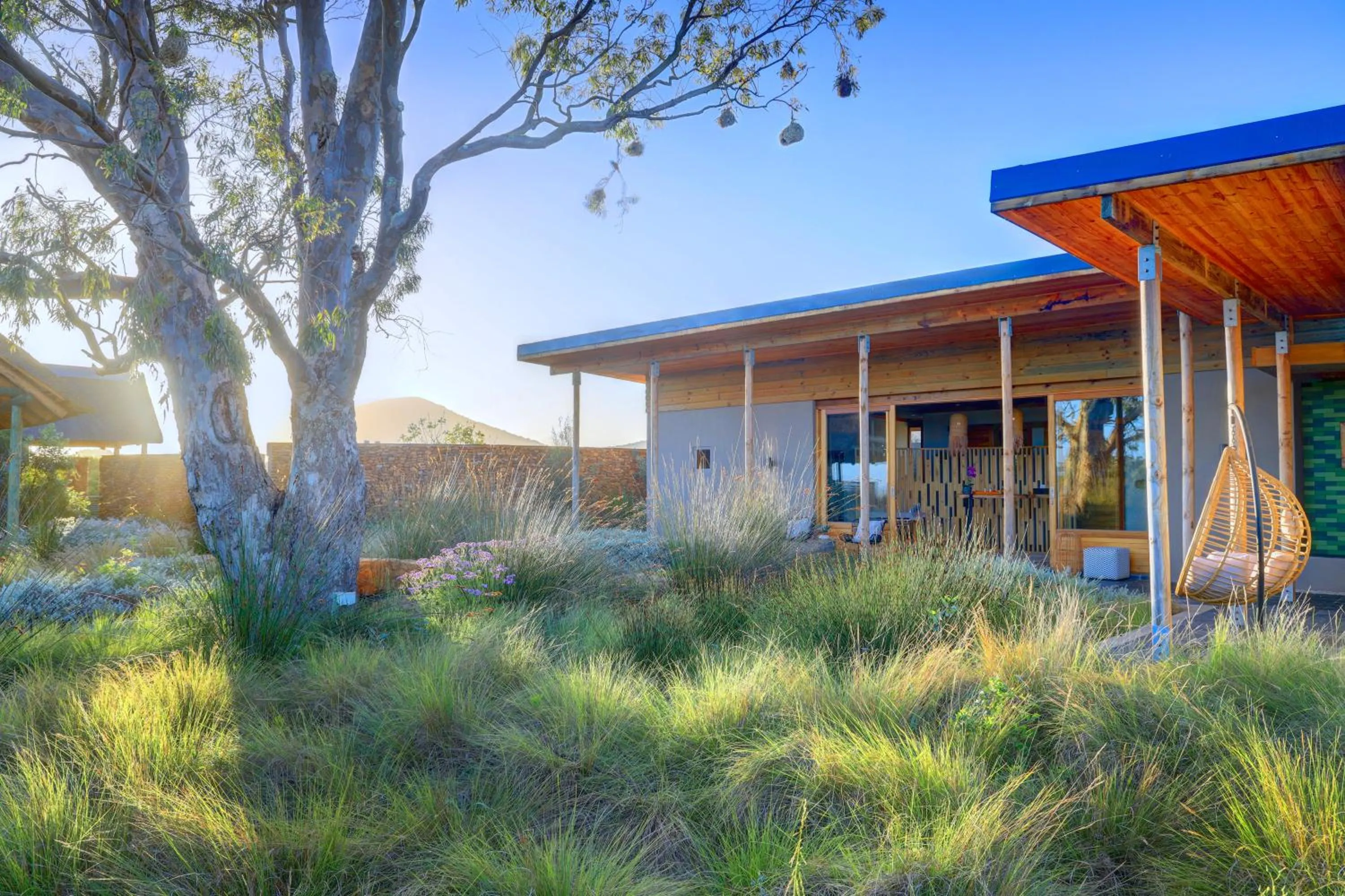 Garden view in Garden Route Game Lodge