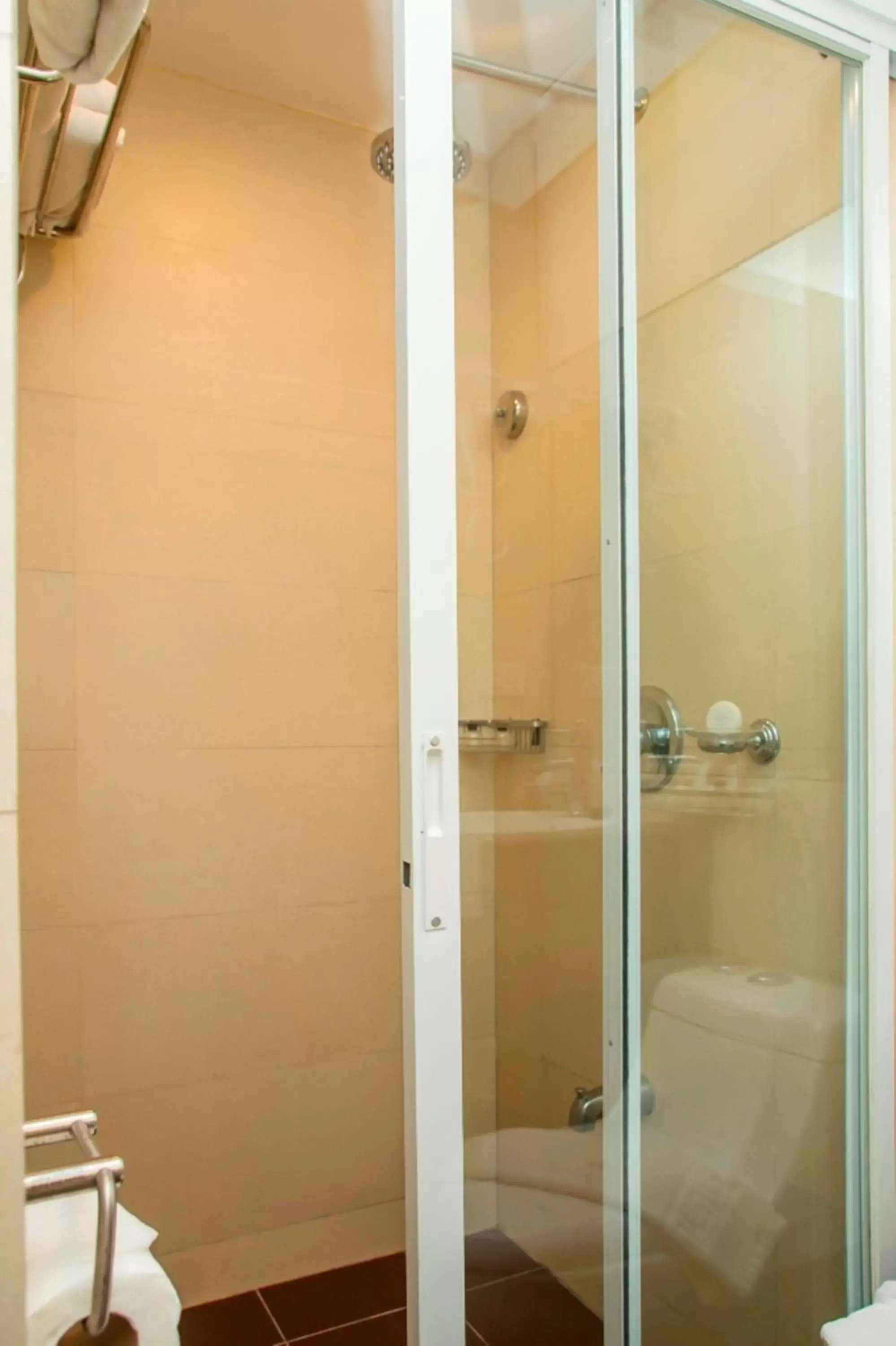 Shower, Bathroom in Venus Parkview Hotel