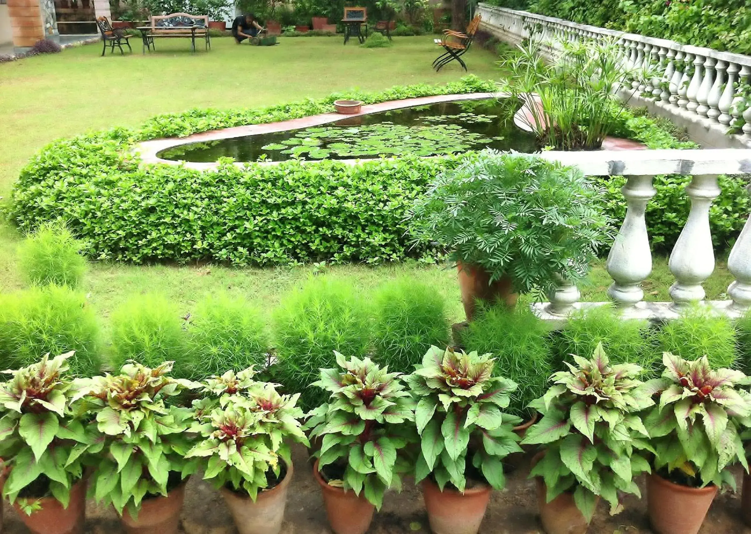 Garden in Jai Niwas Garden Hotel