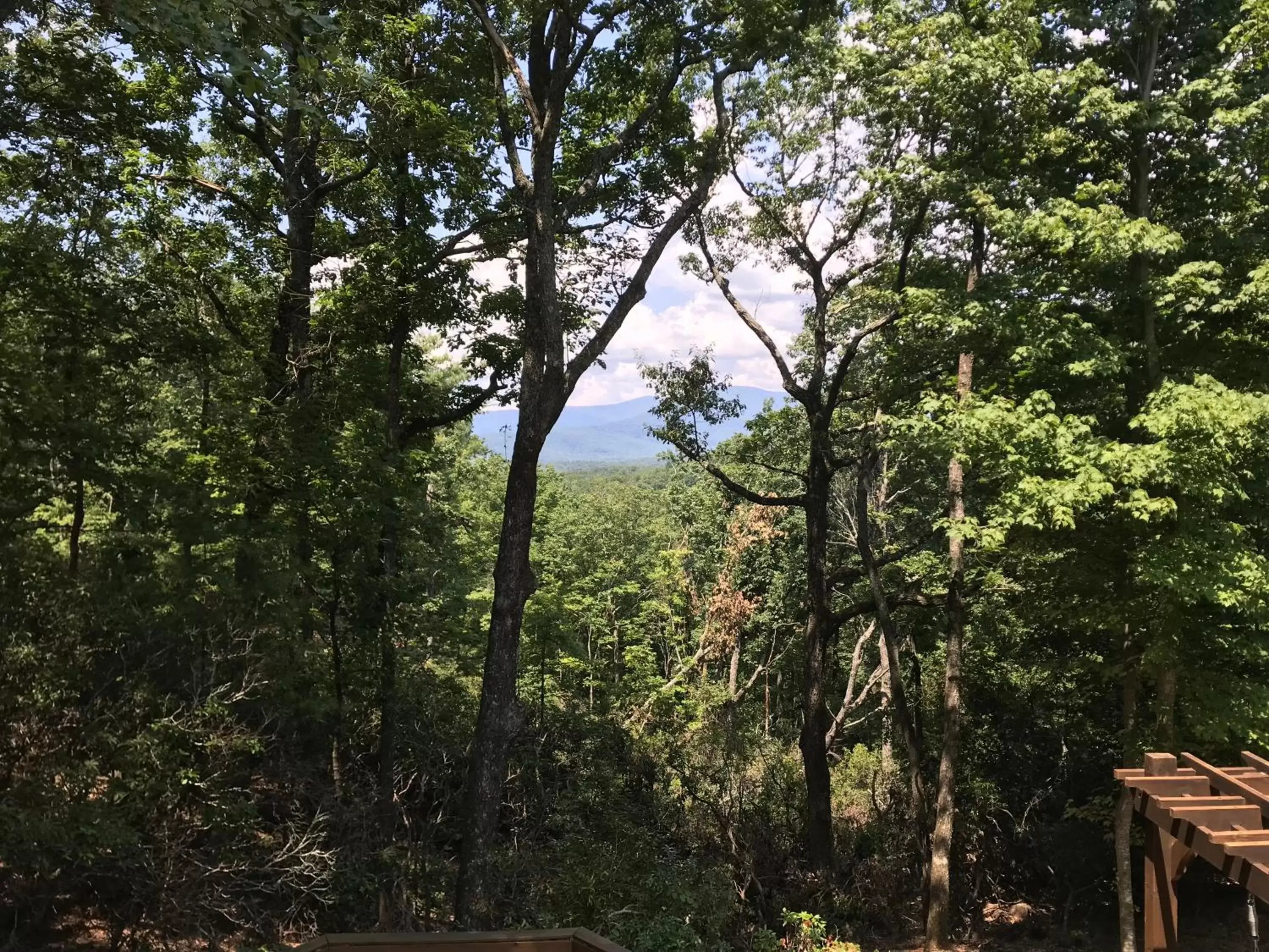 Natural landscape in Barefoot Hills