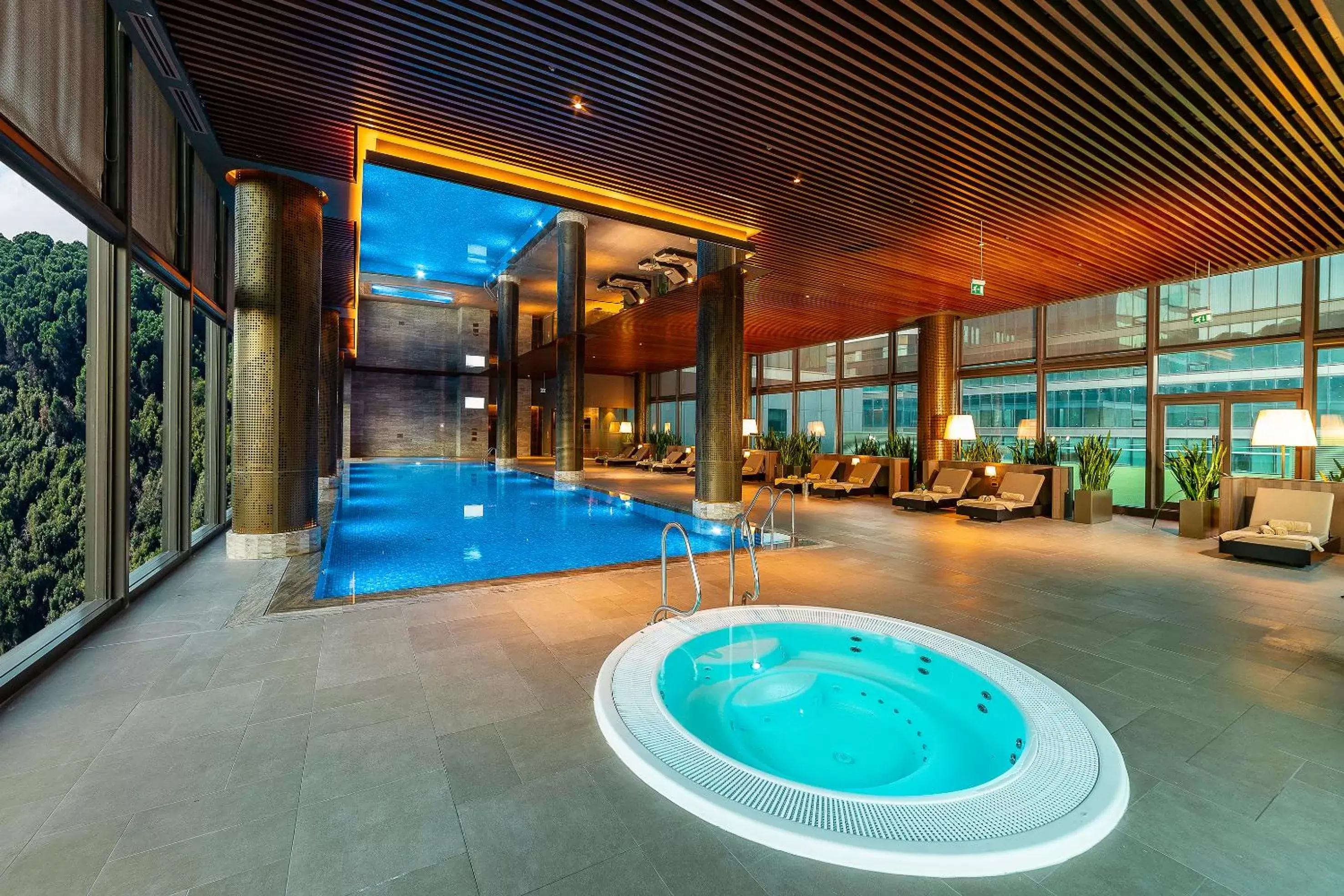 Spa and wellness centre/facilities, Swimming Pool in Radisson Collection Hotel, Vadistanbul