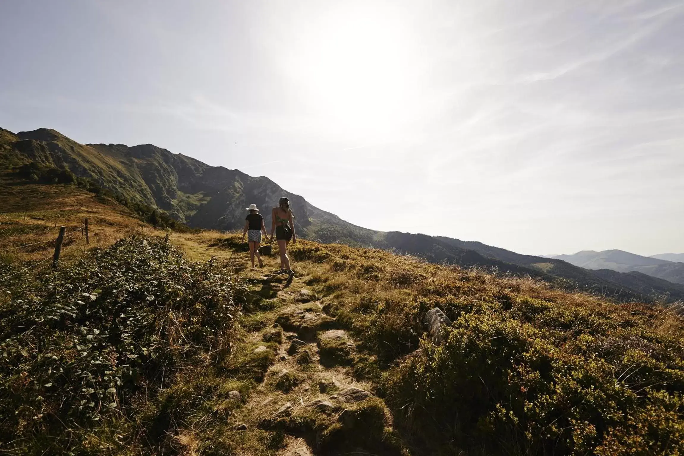 Summer, Natural Landscape in La Halte du Temps