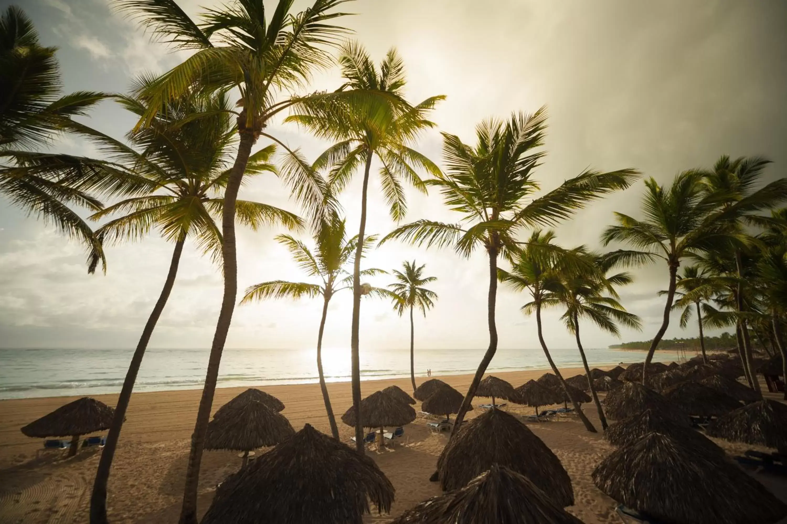 Beach in Tropical Deluxe Princess - All Inclusive