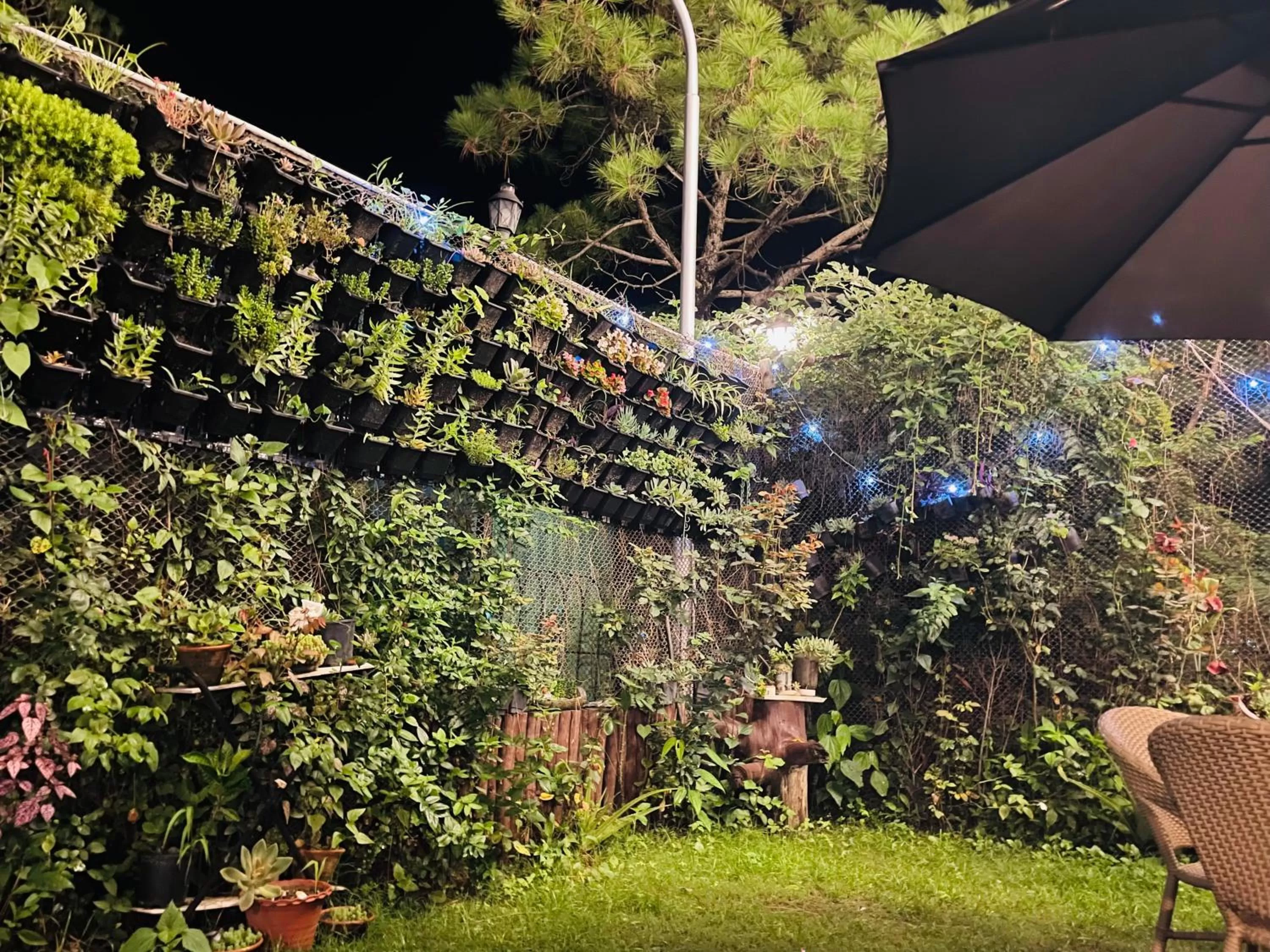 Garden in House of lights