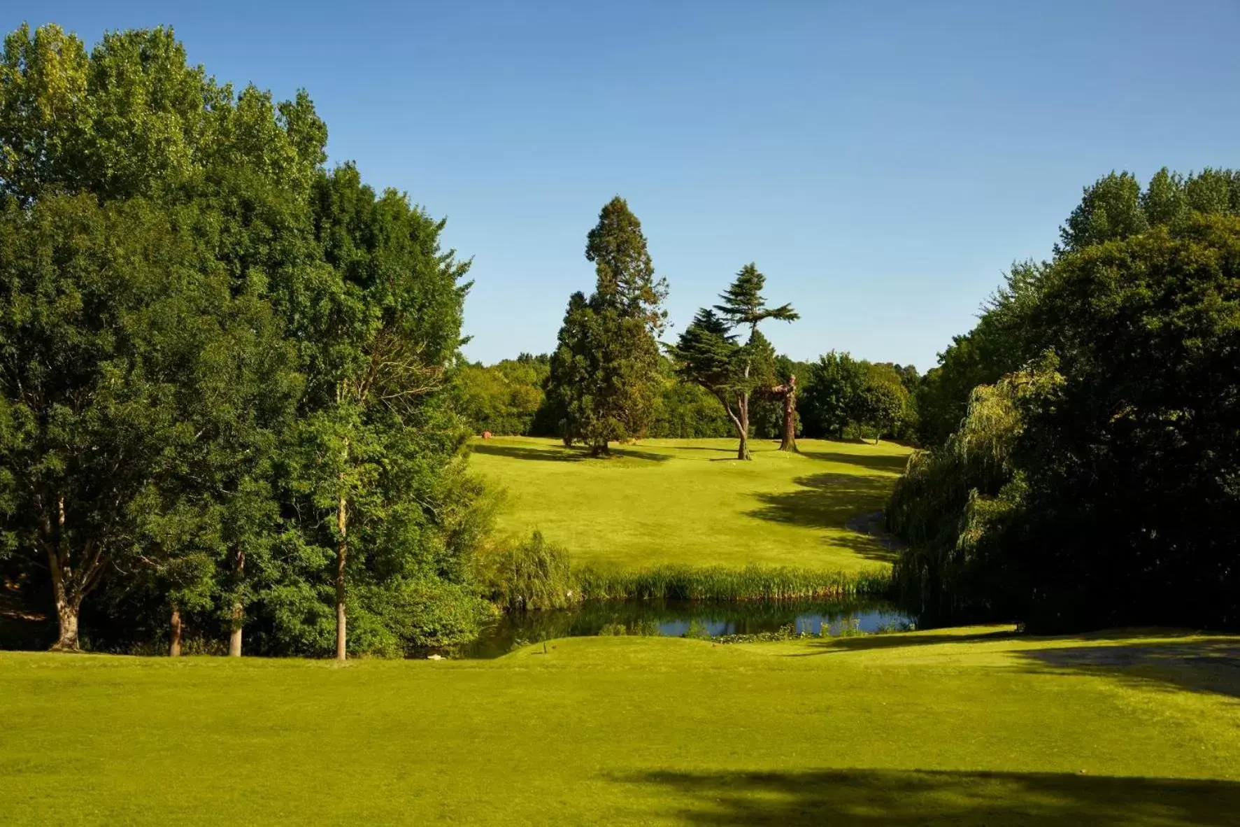 Lake view, Garden in Ufford Park Hotel, Golf & Spa
