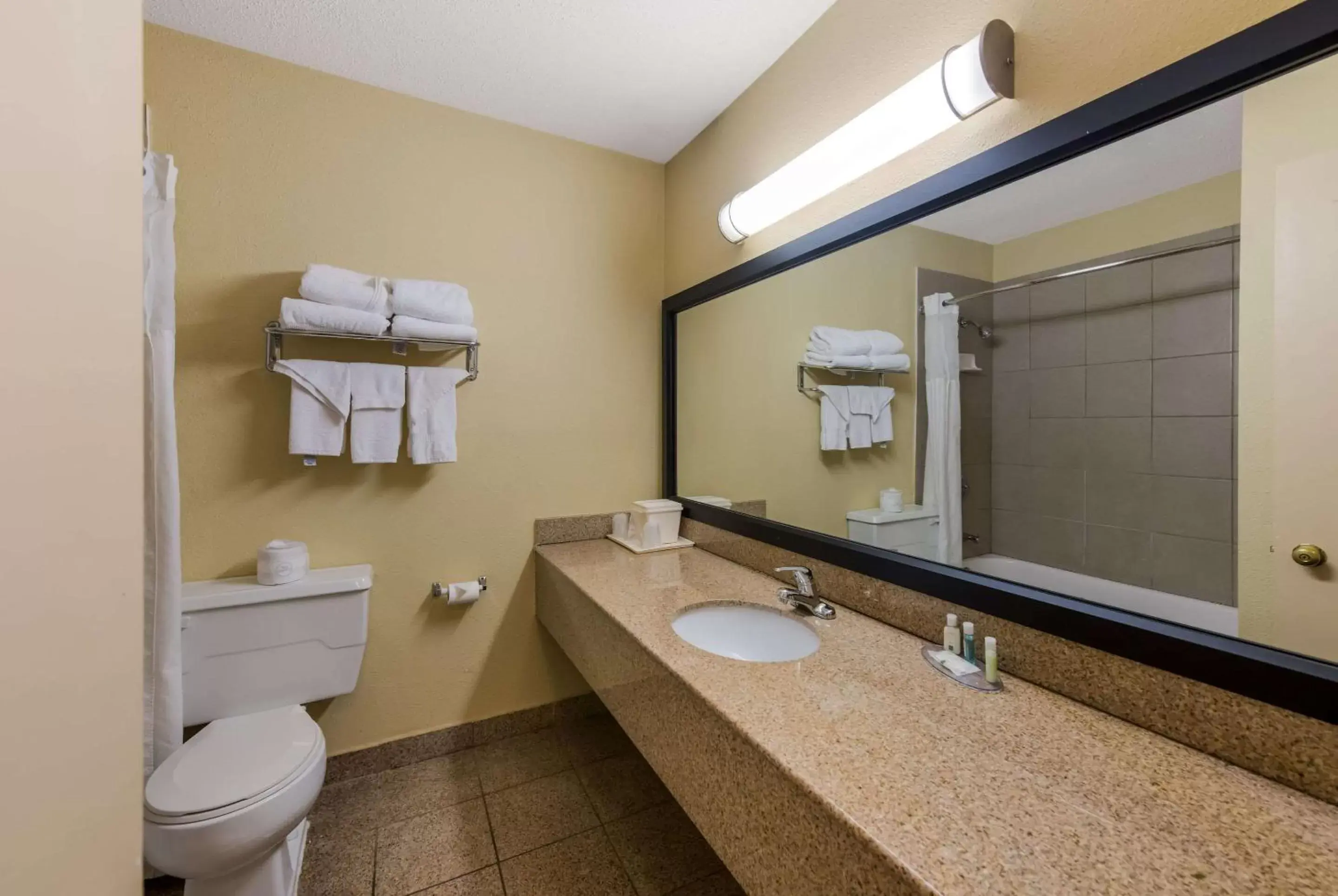 Bedroom, Bathroom in Quality Inn Airport