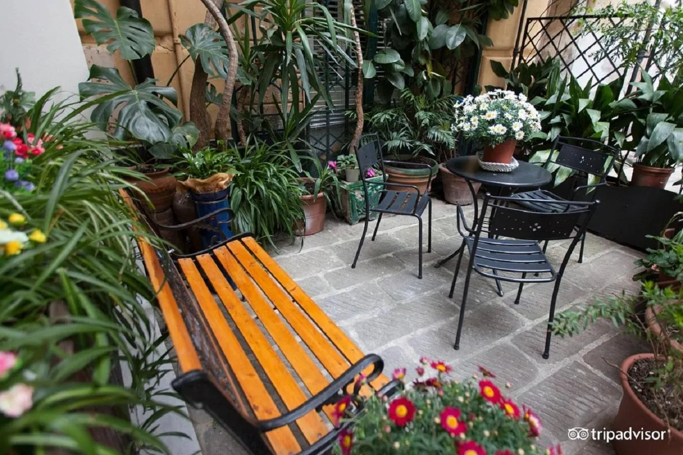 Garden in Hotel Bologna