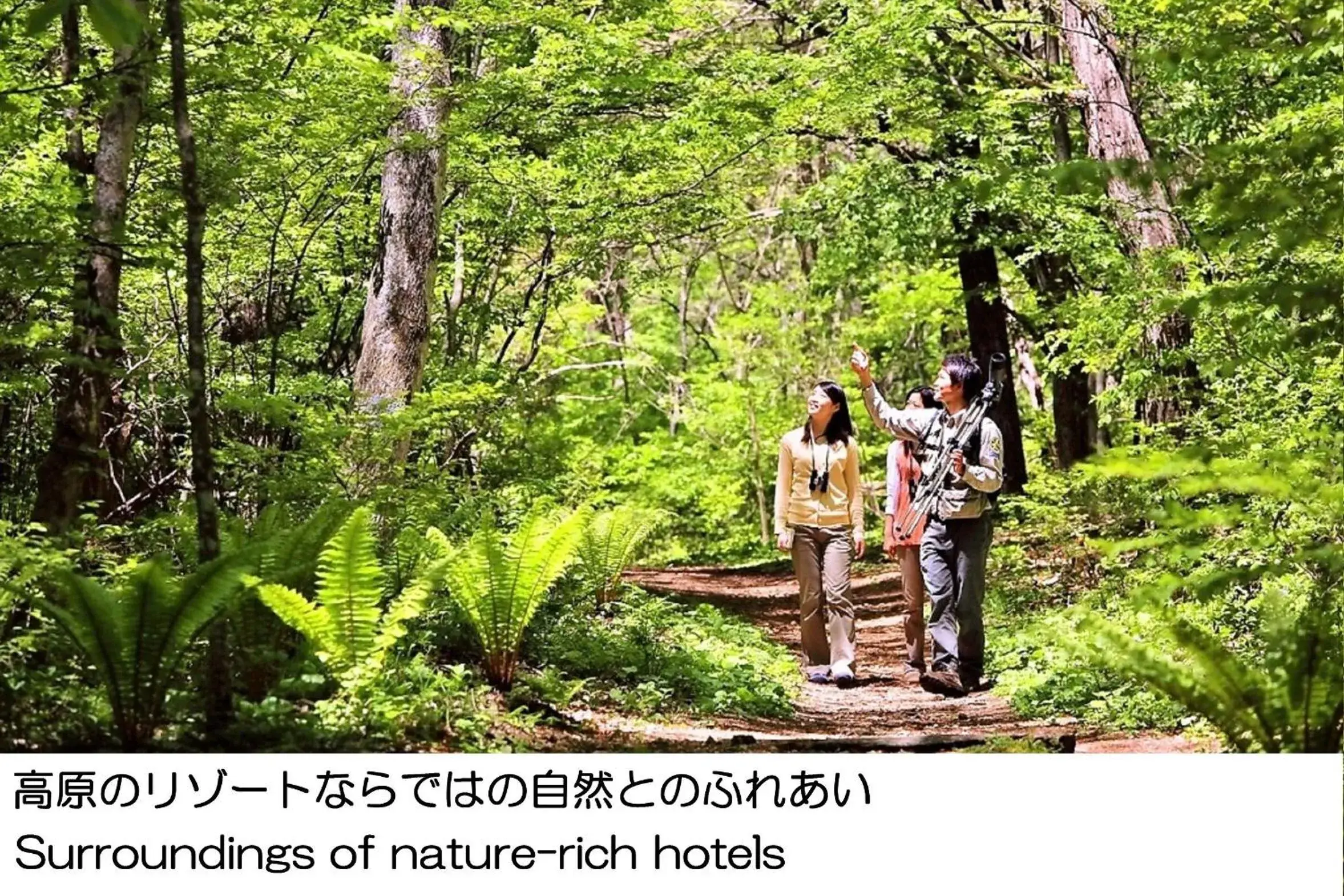 Hiking in Karuizawakurabu Hotel 1130 Hewitt Resort